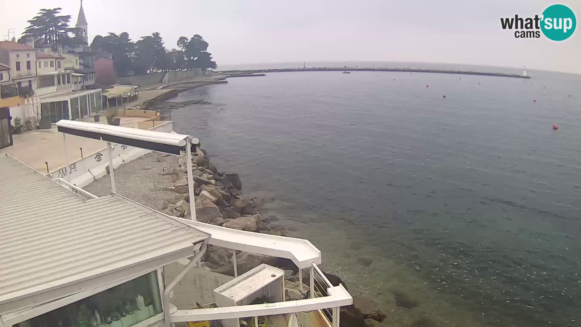 LIVE cam Novigrad – Porporela