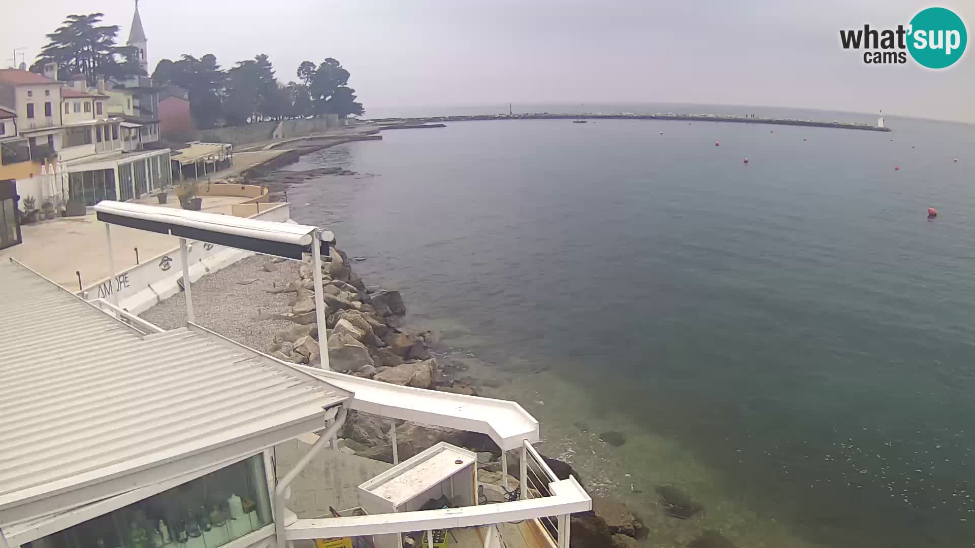 LIVE cam Novigrad – Porporela