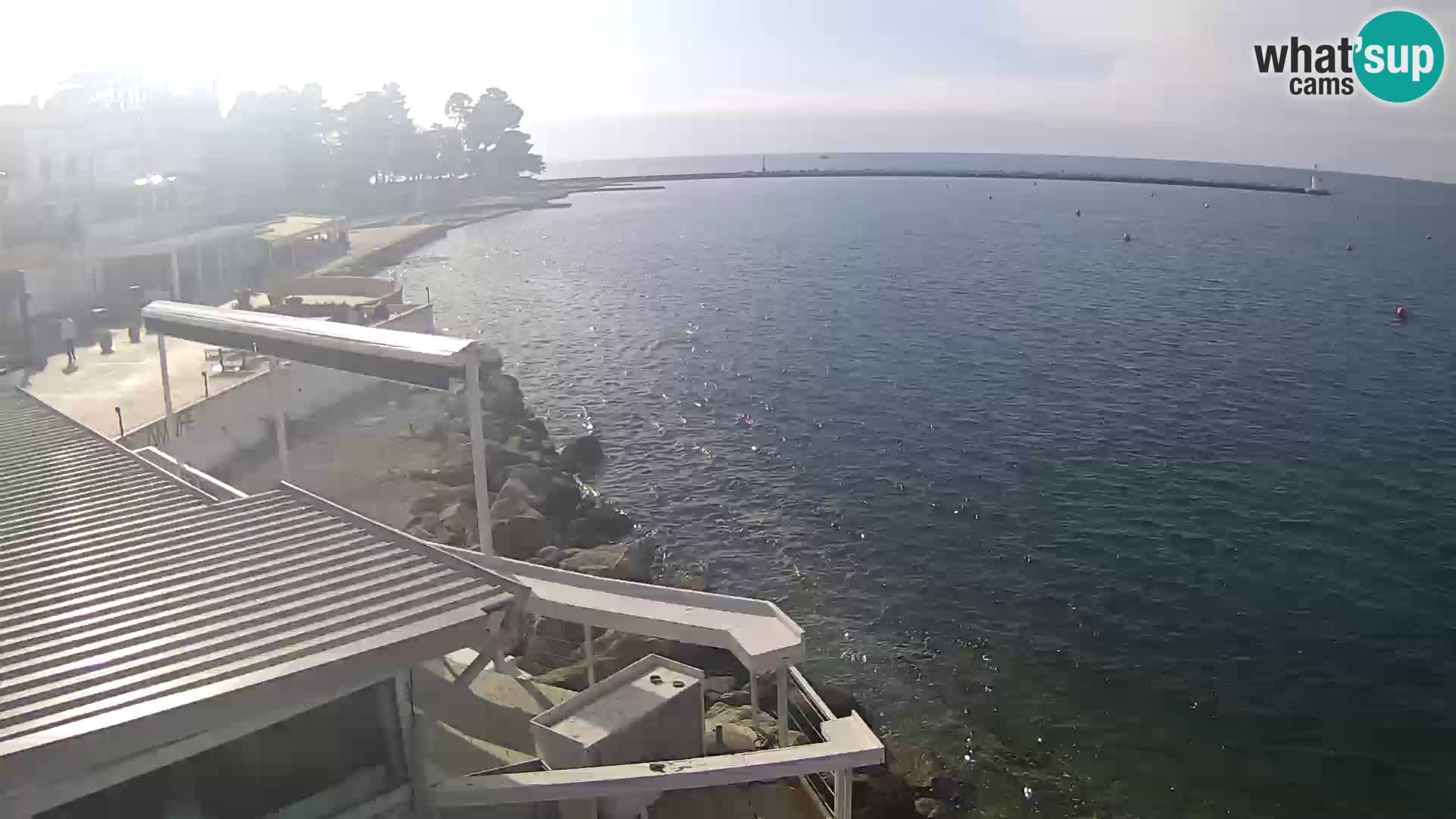 LIVE cam Novigrad – Porporela