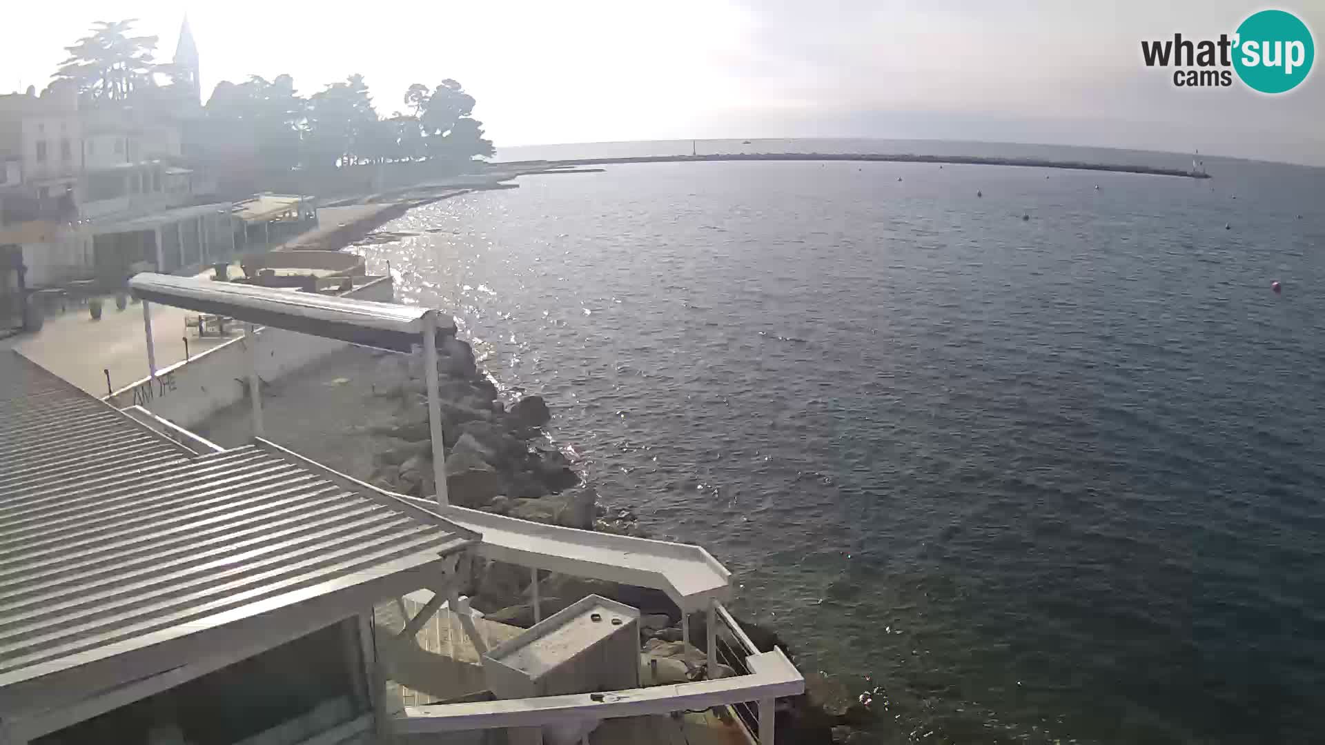 Live webcam Novigrad – Porporela – Istria – Croatia