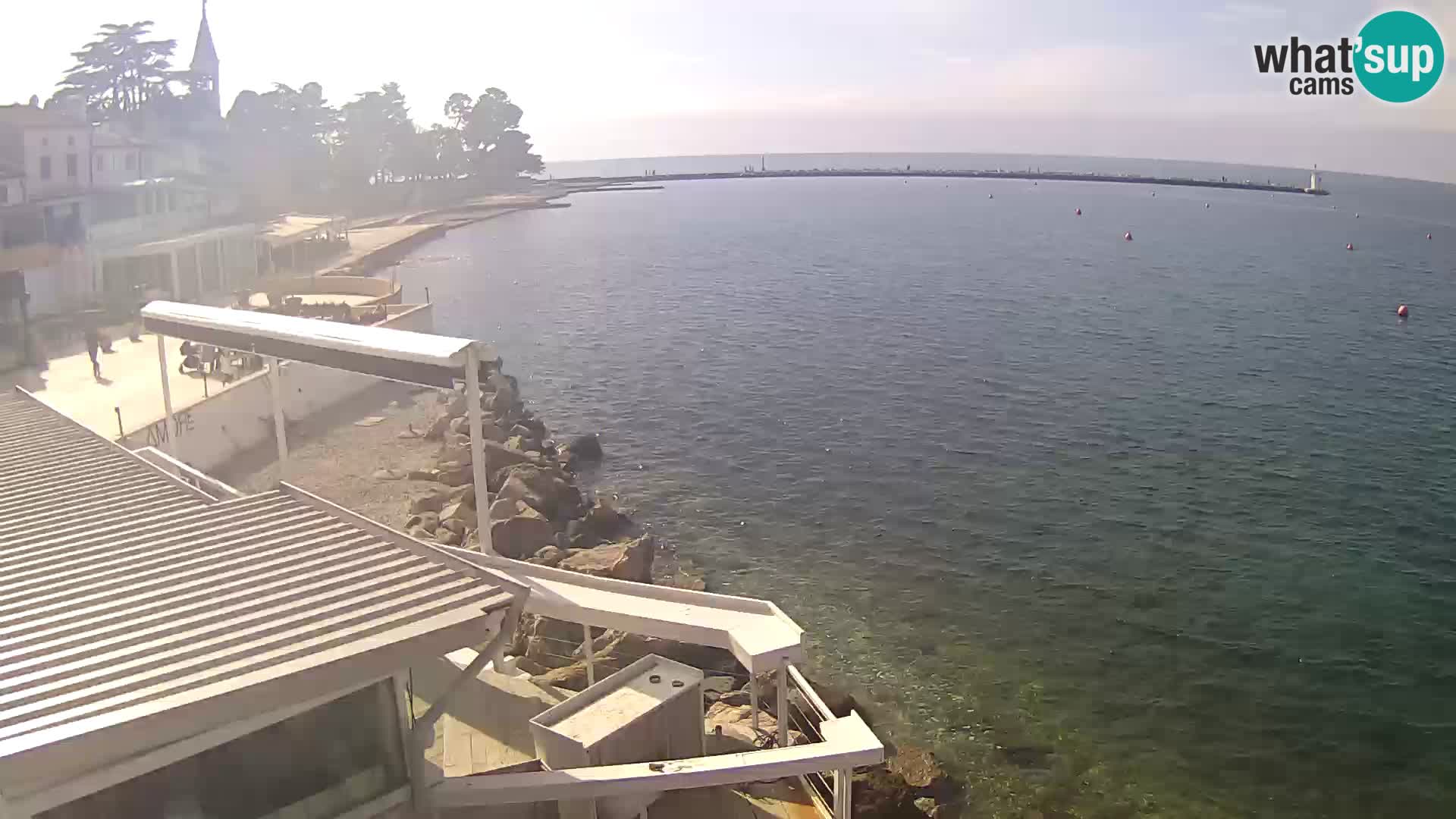 LIVE cam Novigrad – Porporela