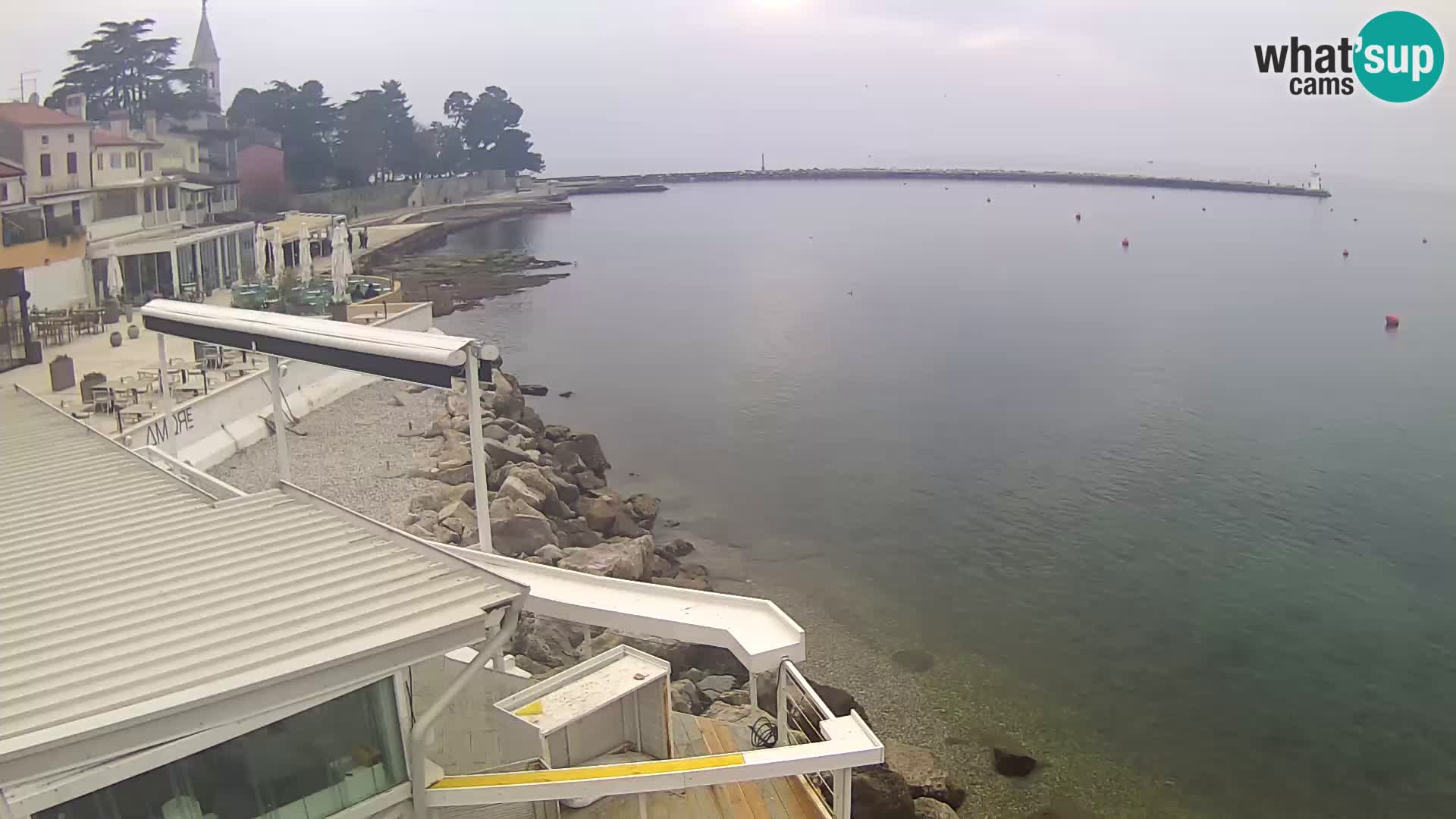 Novigrad live webcam – Porporela