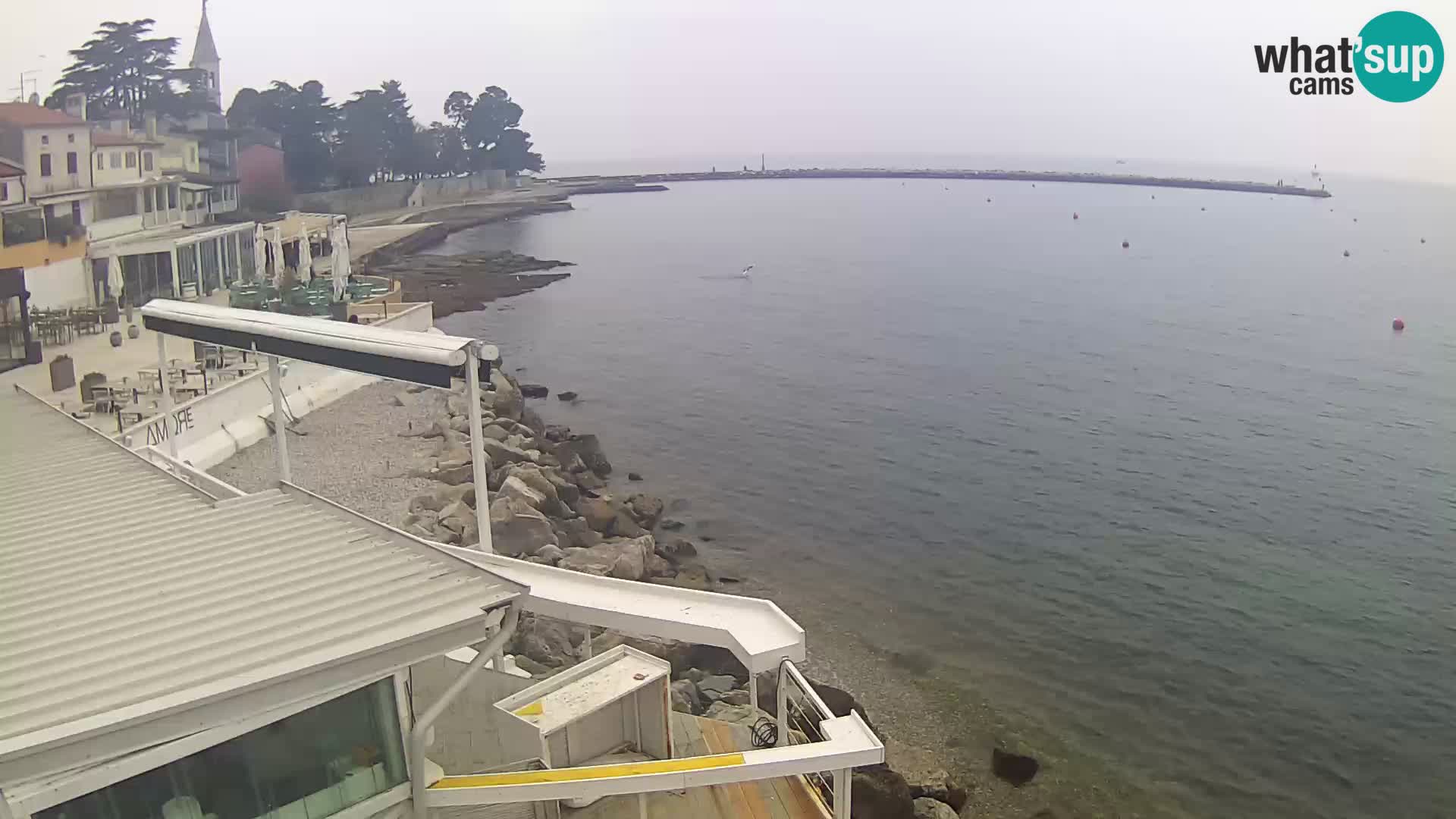 Live webcam Novigrad – Porporela – Istria – Croatia