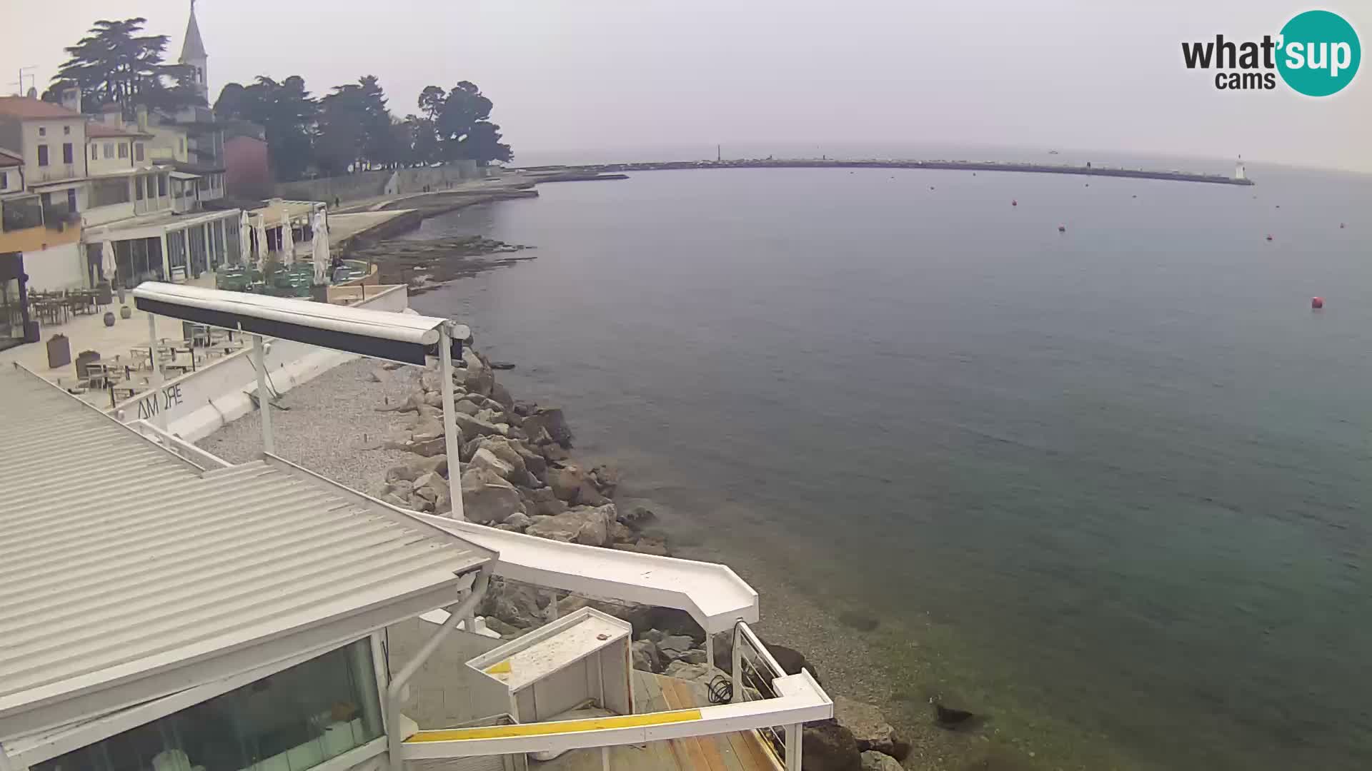 Novigrad live webcam – Porporela