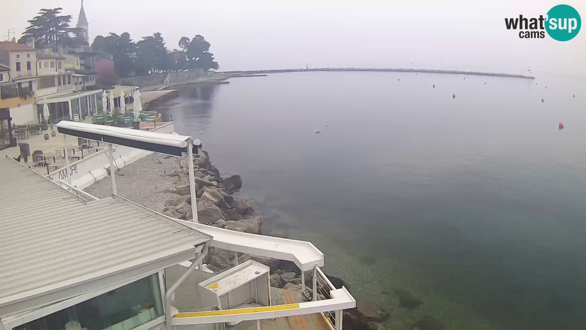 LIVE cam Novigrad – Porporela