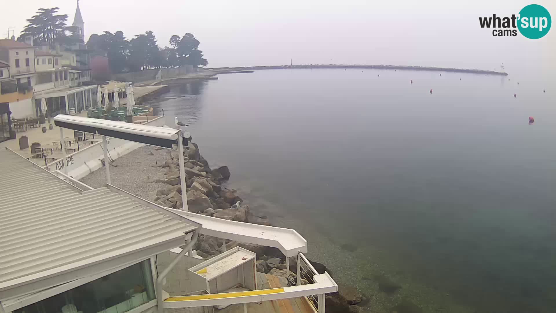 LIVE cam Novigrad – Porporela