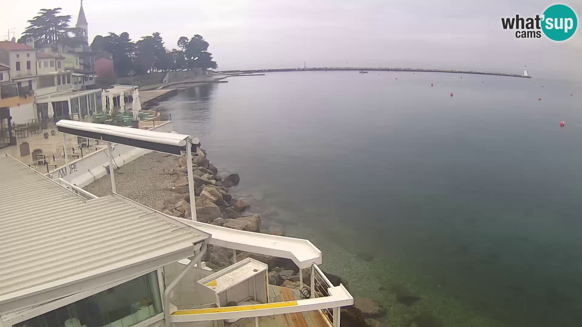 Novigrad live webcam – Porporela