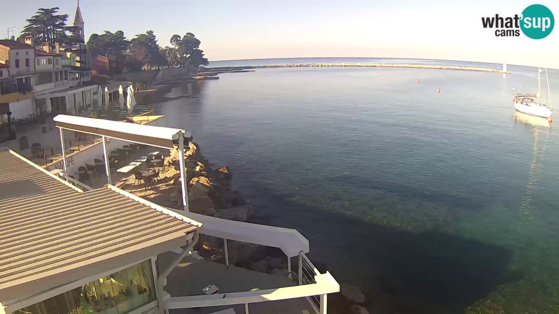 Novigrad live webcam – Porporela