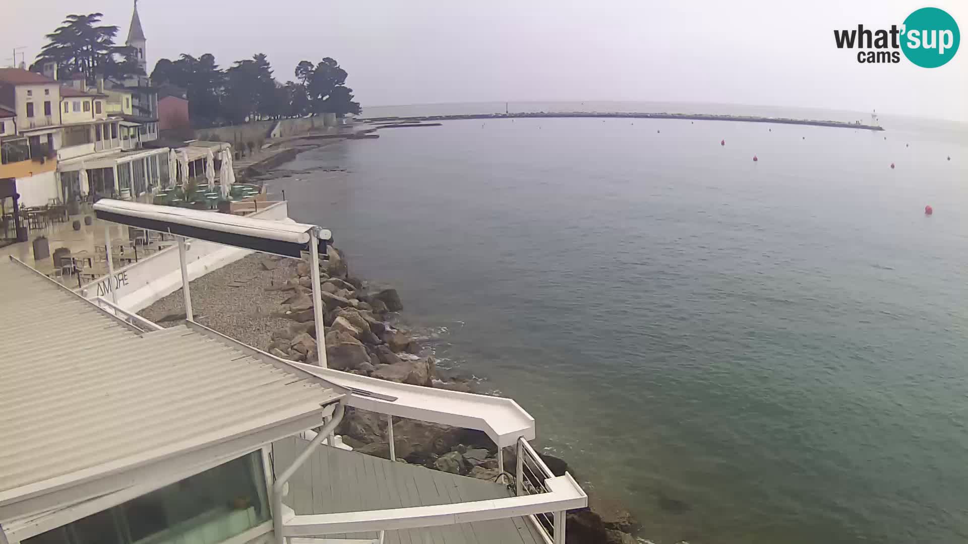 Novigrad live webcam – Porporela