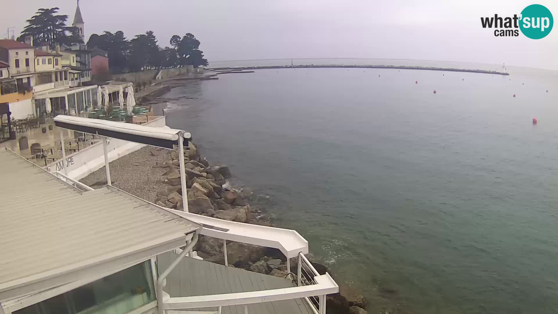 Live webcam Novigrad – Porporela – Istria – Croatia