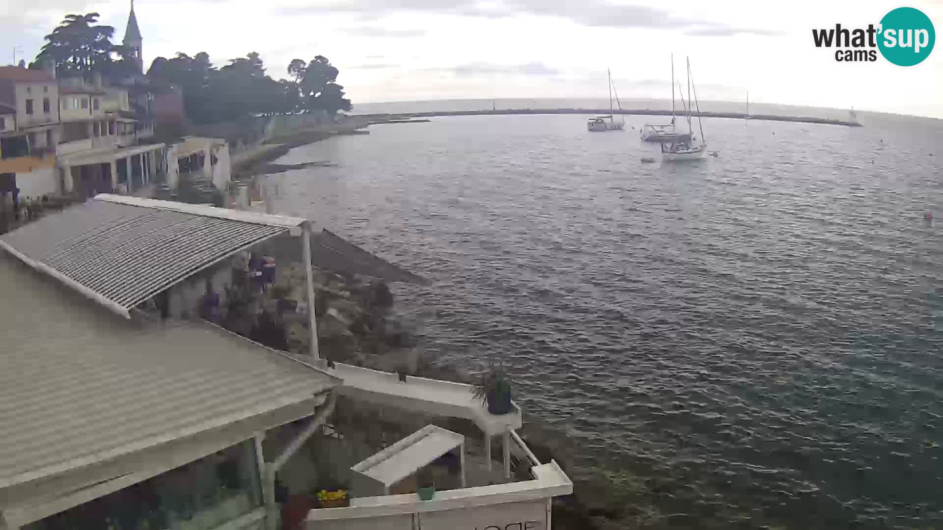LIVE cam Novigrad – Porporela