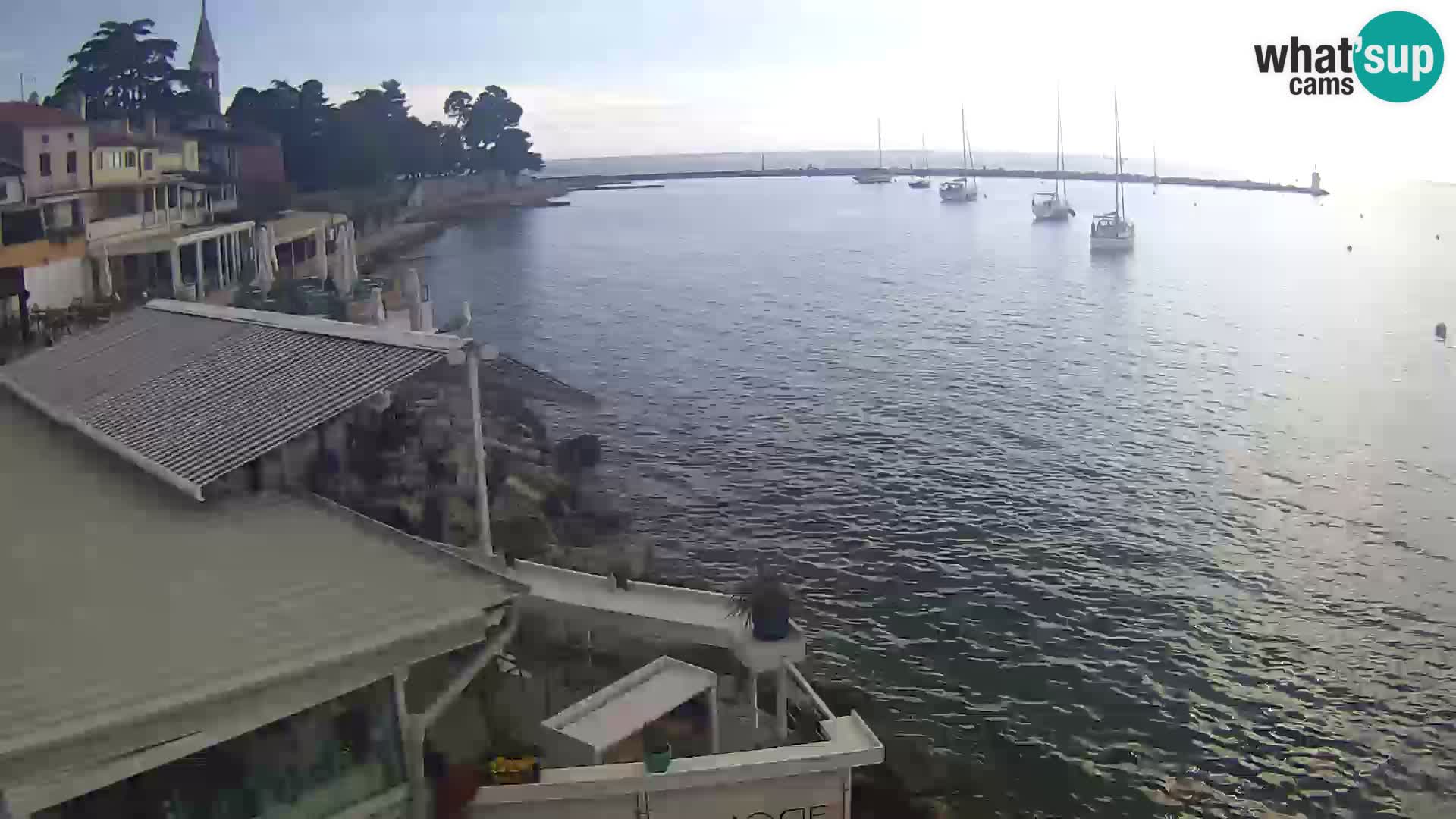 V živo Novigrad – Porporela