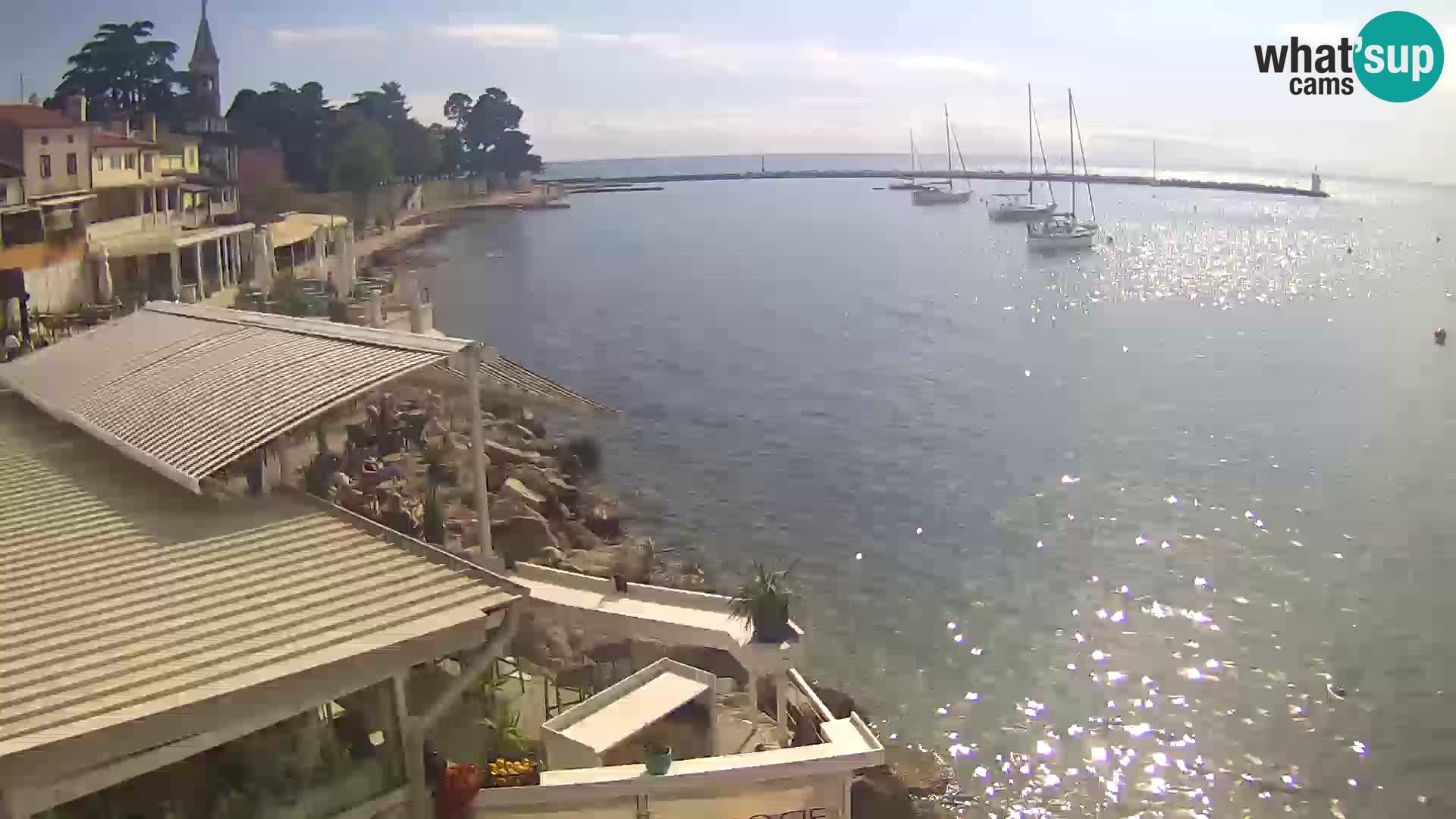 Novigrad live webcam – Porporela