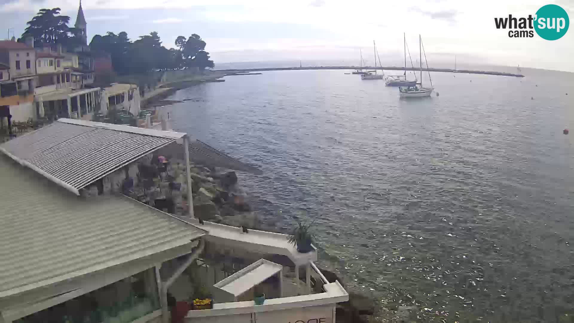 V živo Novigrad – Porporela