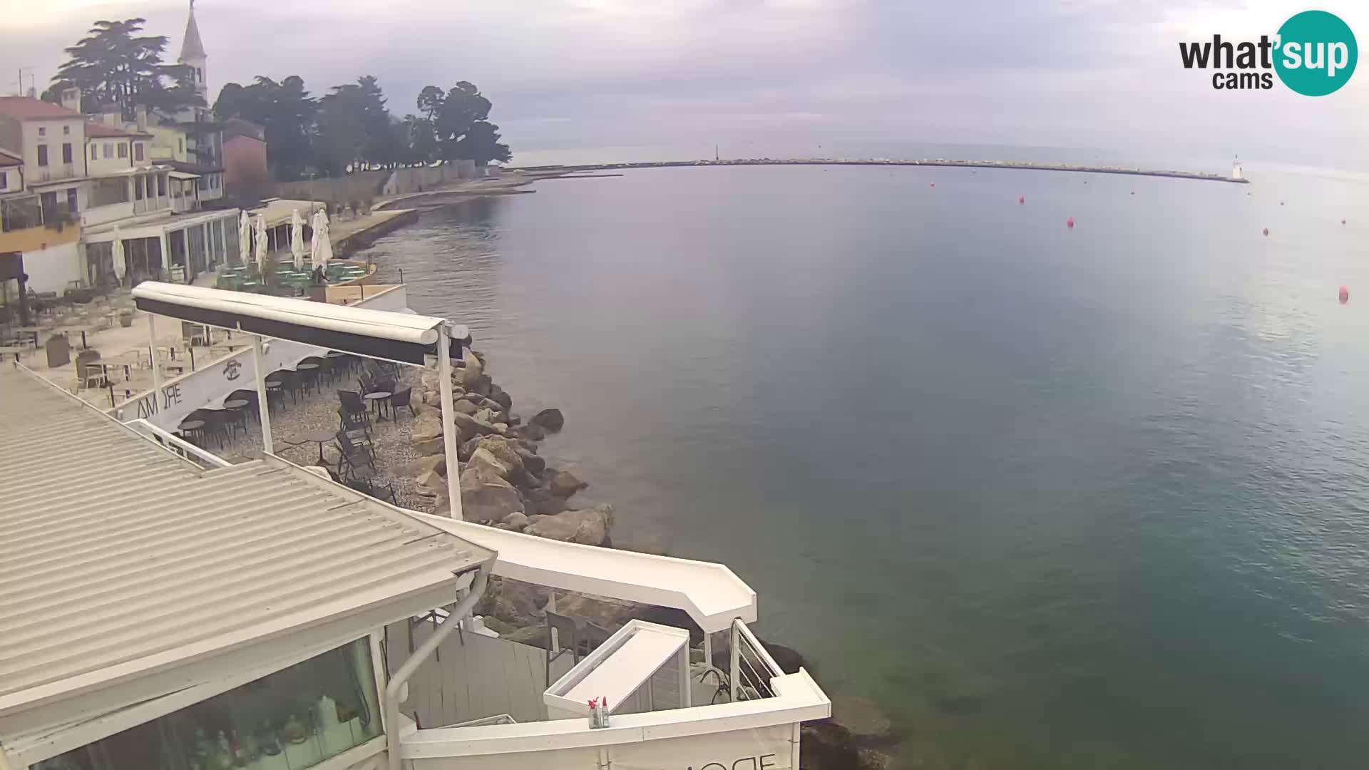 LIVE cam Novigrad – Porporela