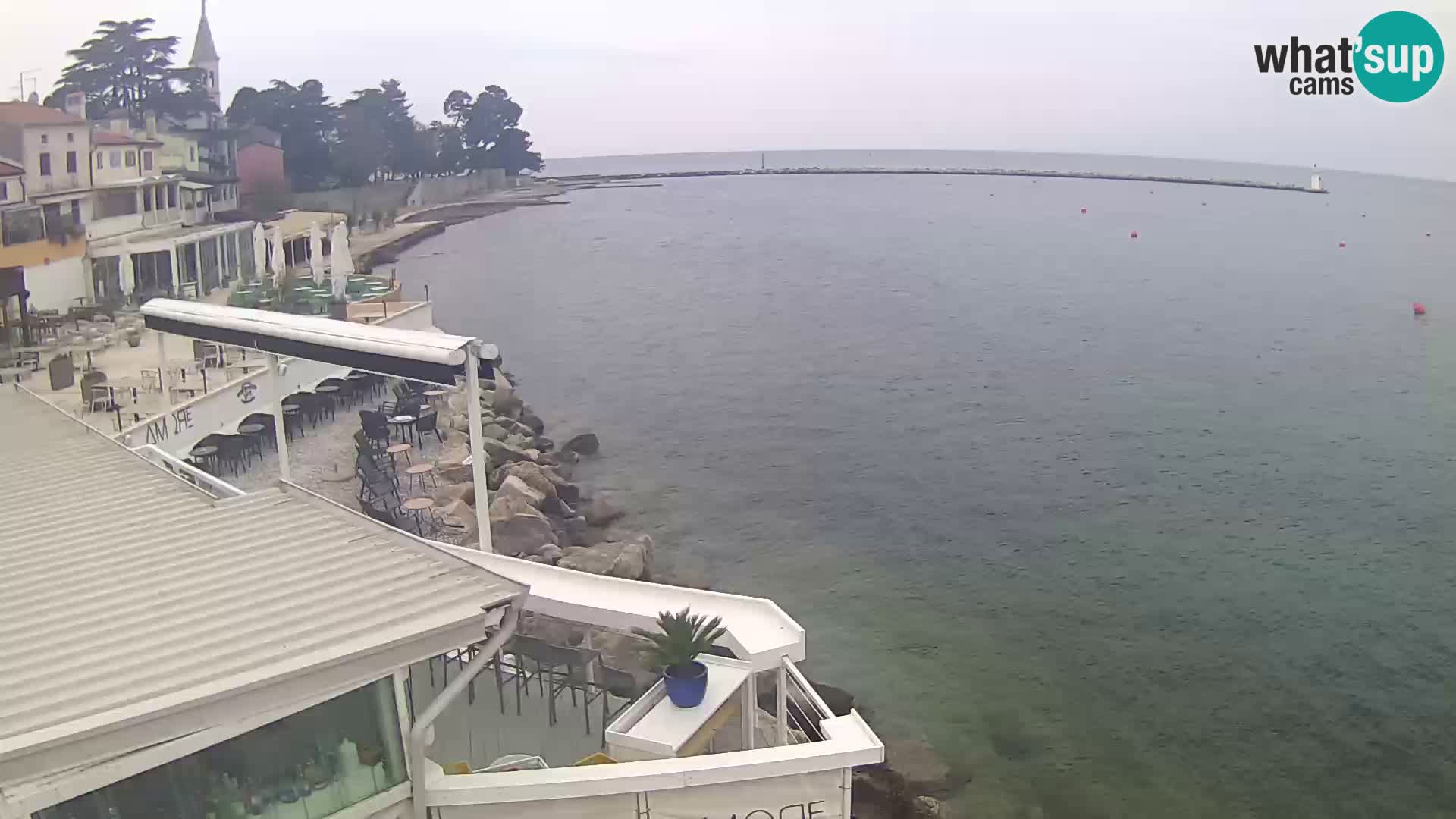 Live webcam Novigrad – Porporela – Istria – Croatia