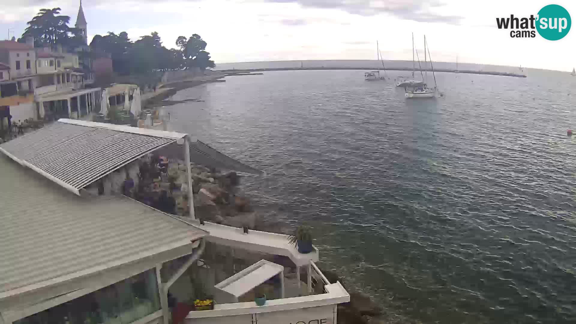 Novigrad live webcam – Porporela