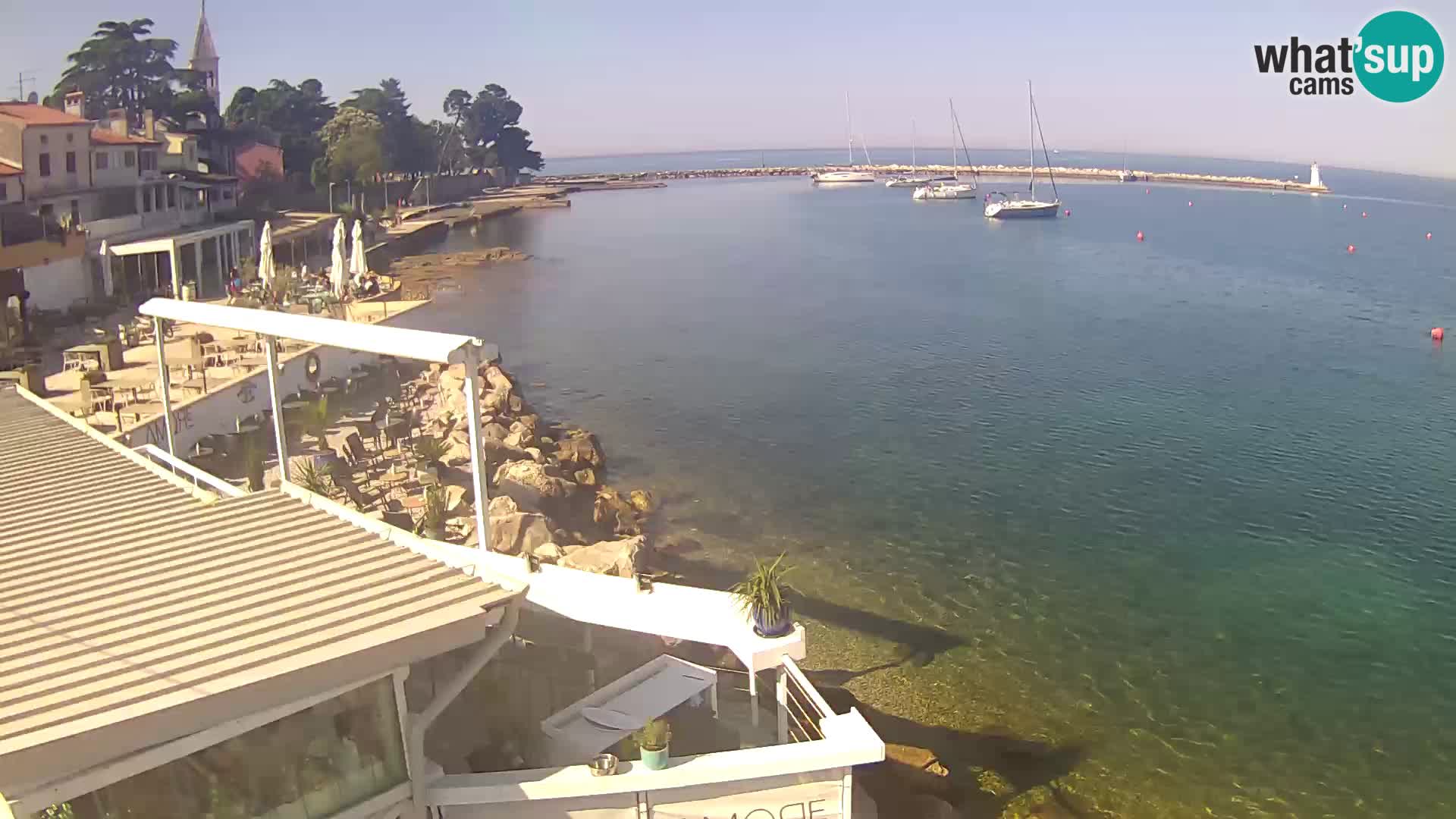 LIVE cam Novigrad – Porporela