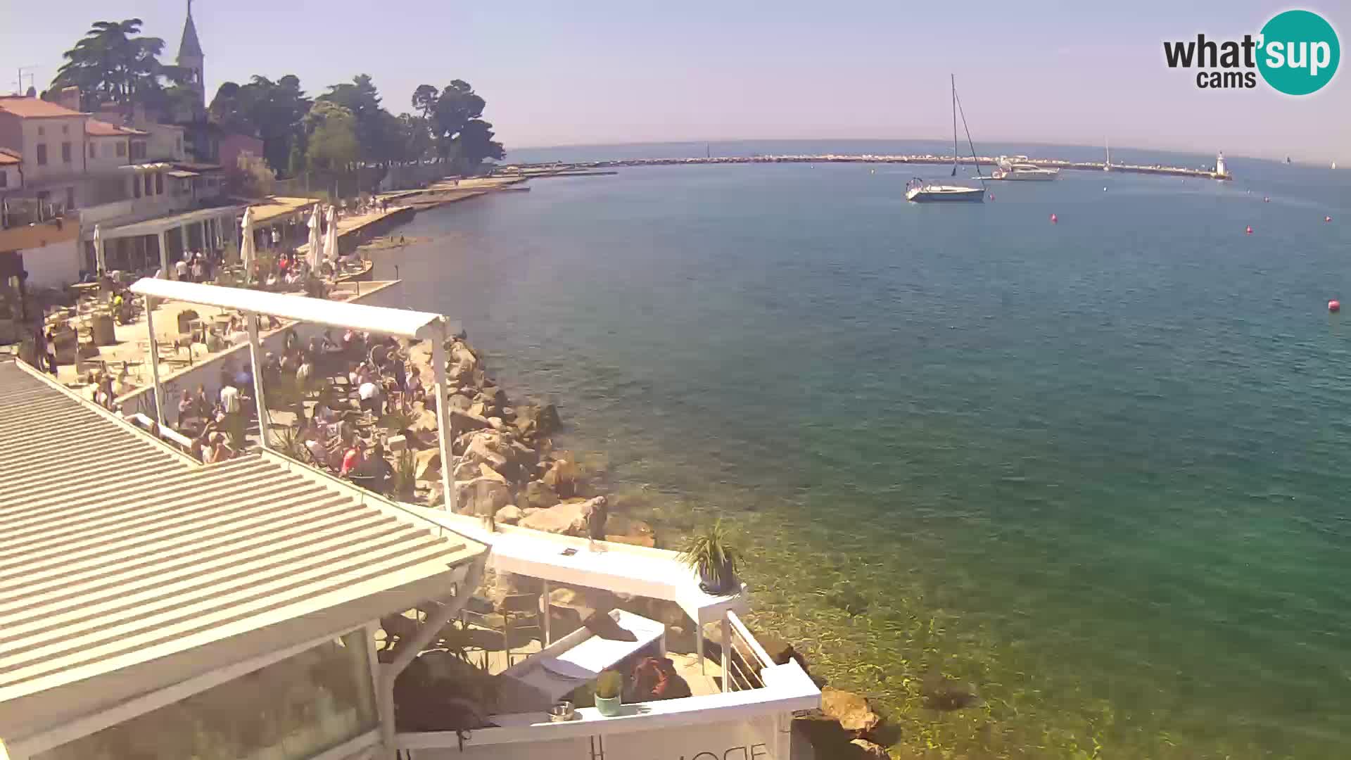 Live webcam Novigrad – Porporela – Istria – Croatia