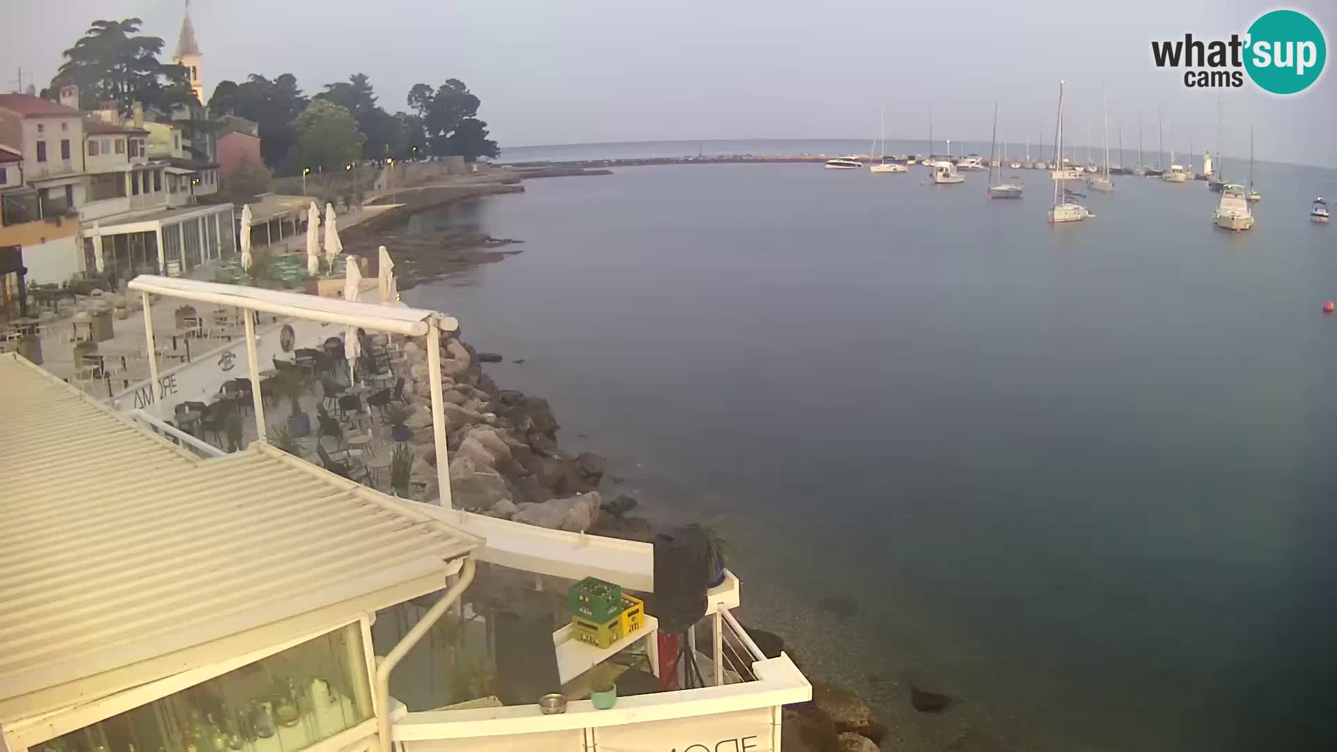 V živo Novigrad – Porporela