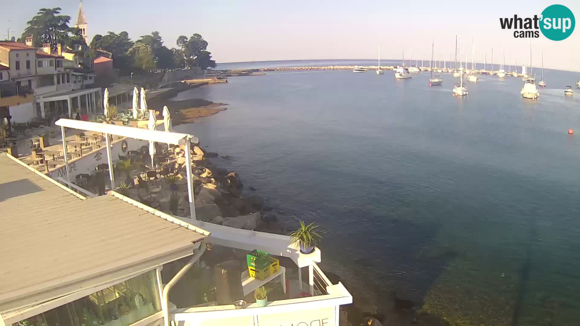 Novigrad live webcam – Porporela