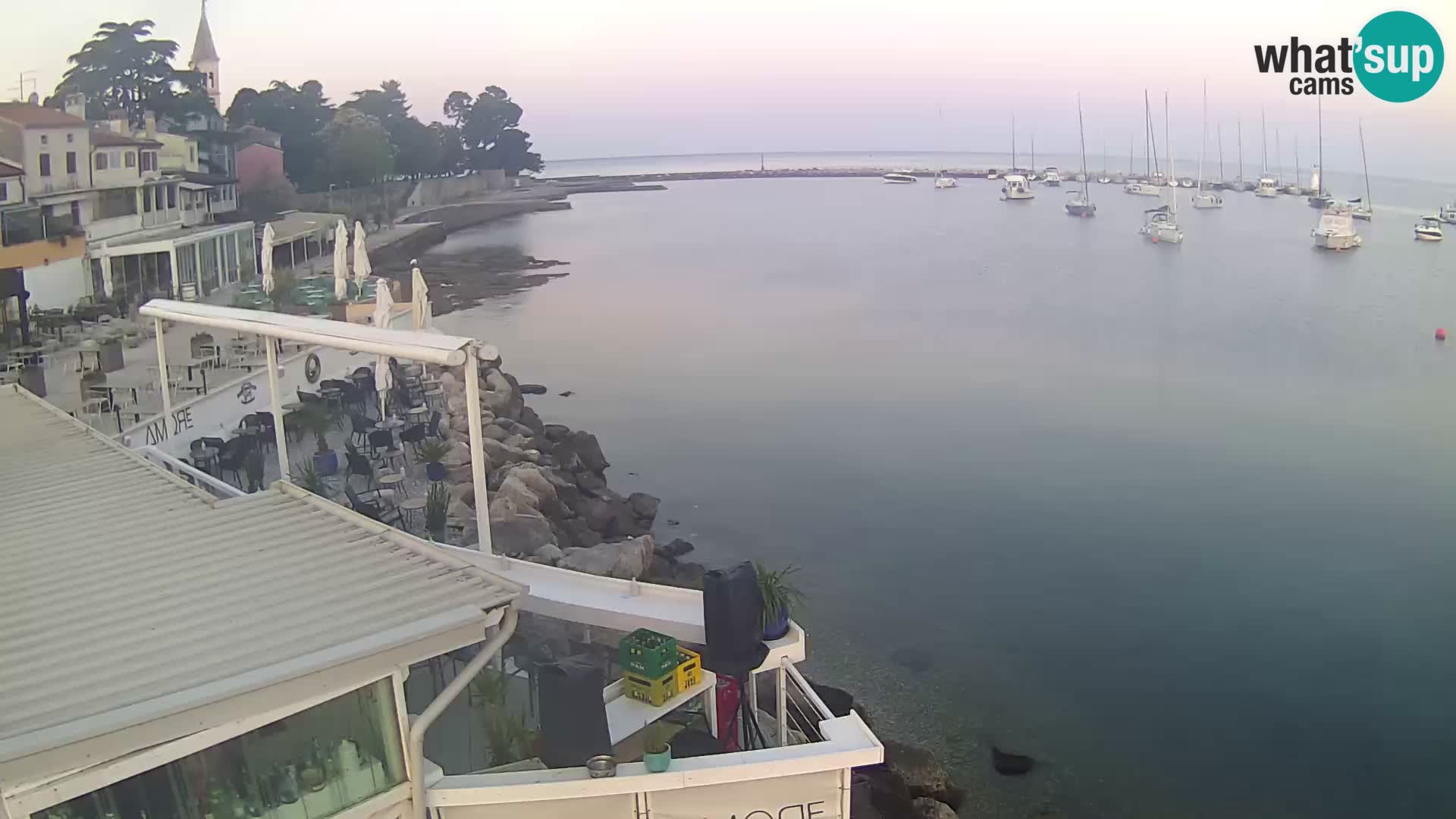V živo Novigrad – Porporela