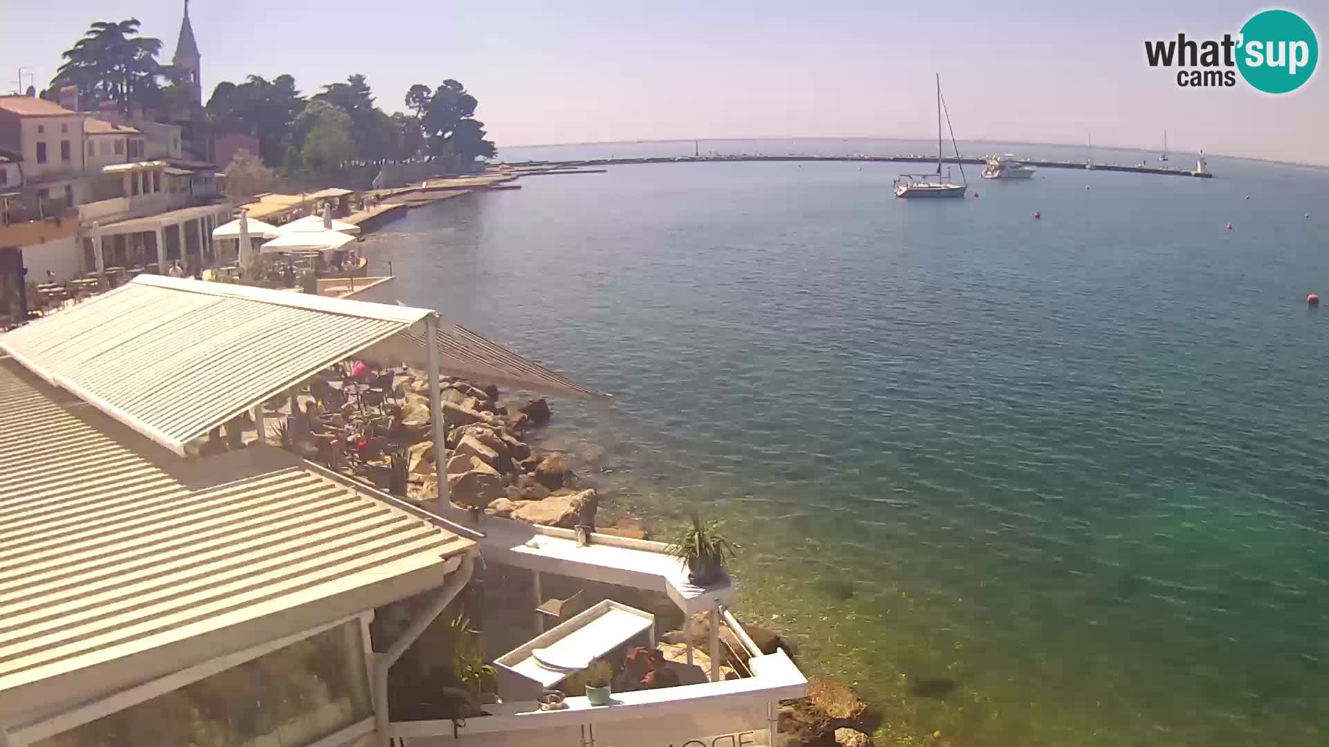 V živo Novigrad – Porporela