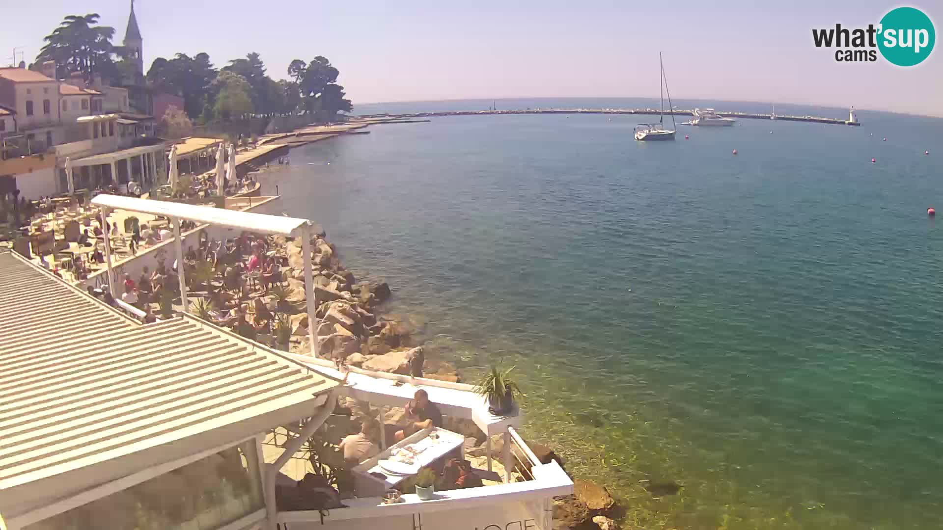 V živo Novigrad – Porporela