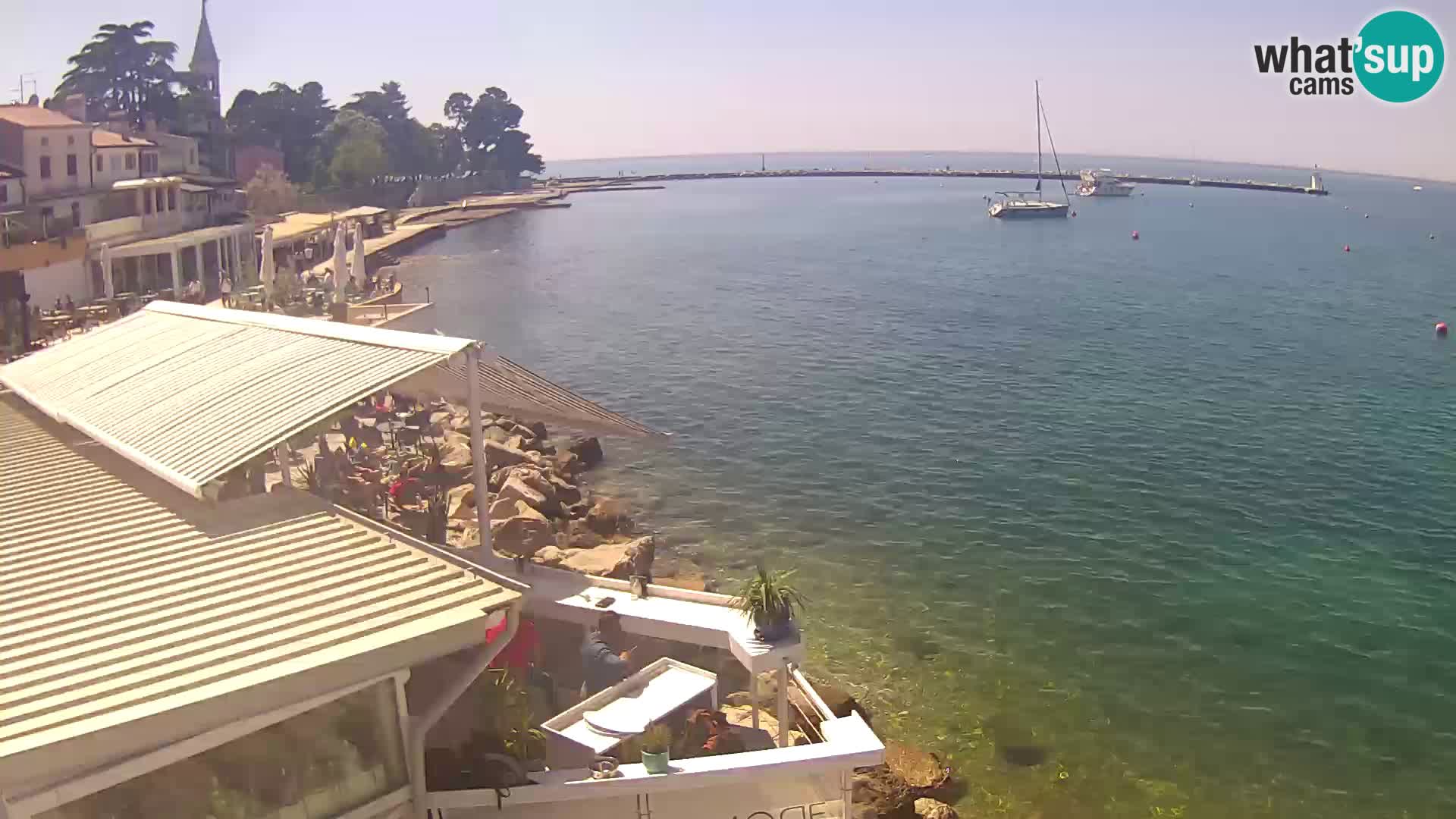 V živo Novigrad – Porporela
