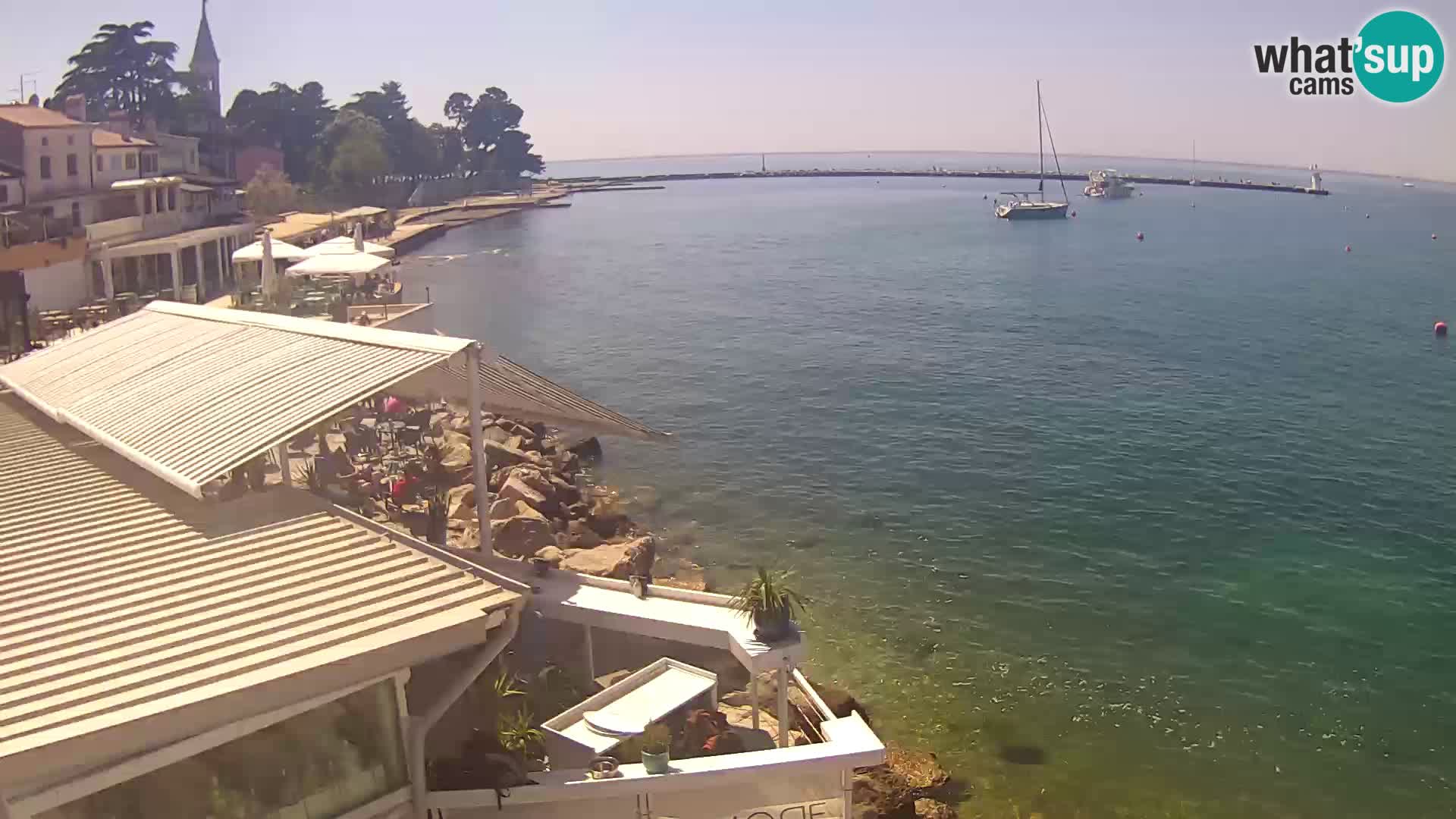 V živo Novigrad – Porporela