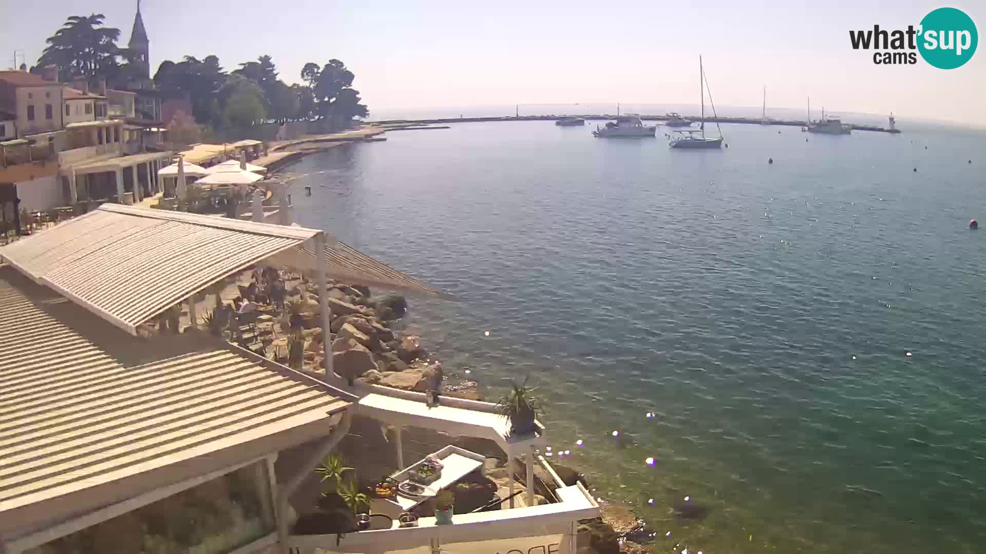 LIVE cam Novigrad – Porporela