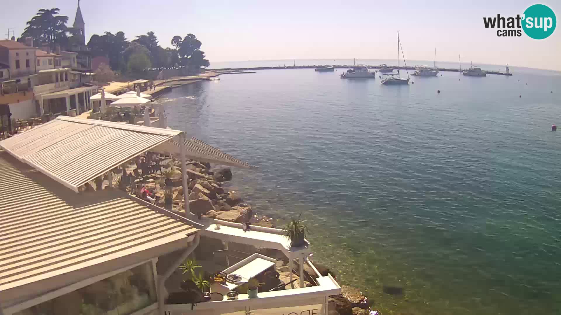 Live webcam Novigrad – Porporela – Istria – Croatia