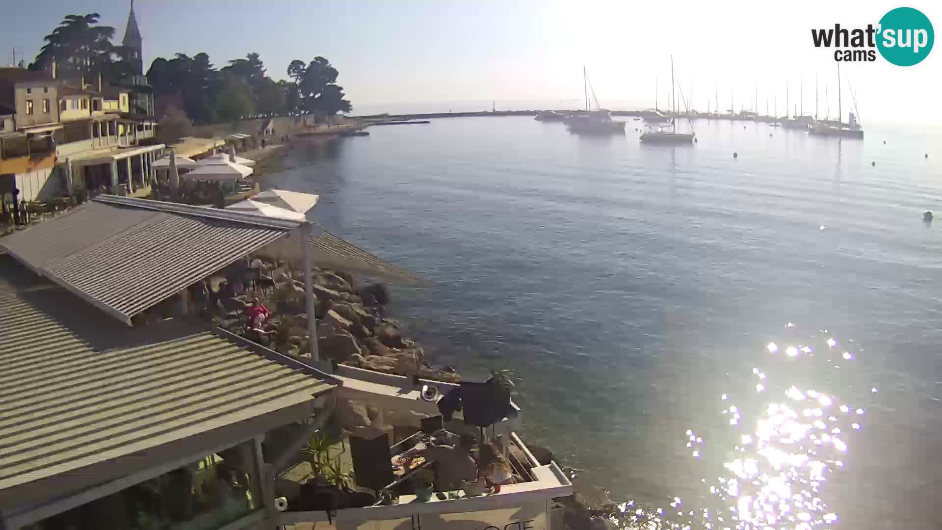 Novigrad live webcam – Porporela