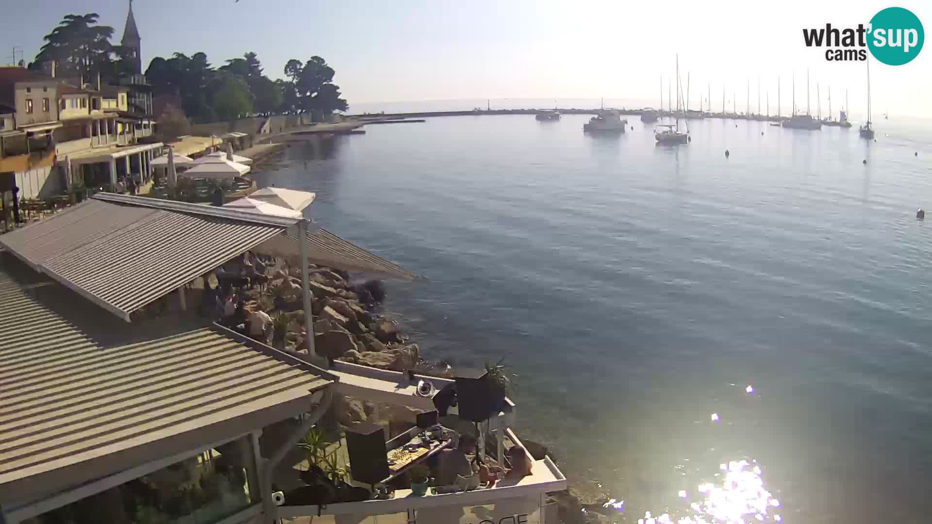 V živo Novigrad – Porporela