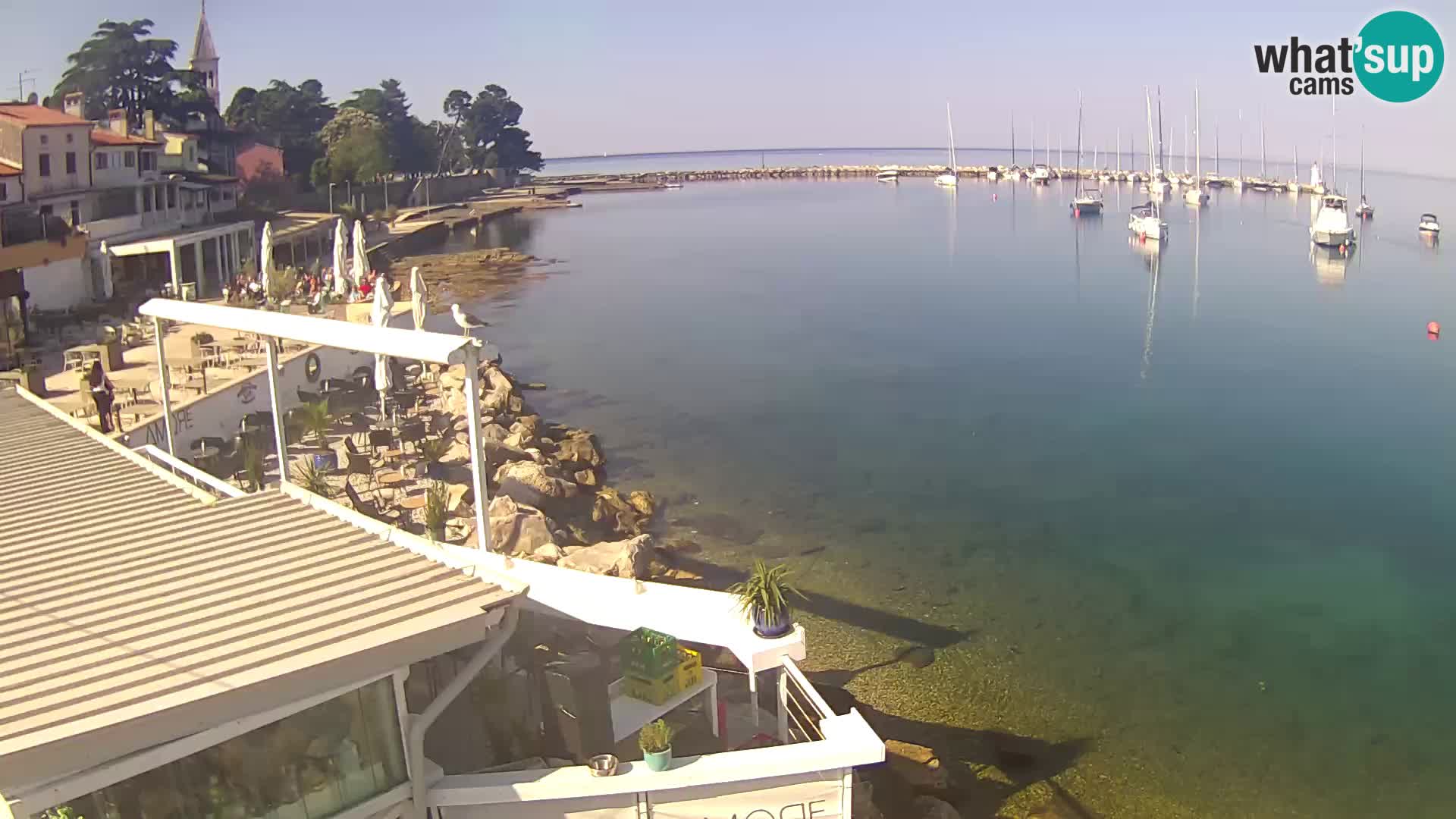 Novigrad – Porporela