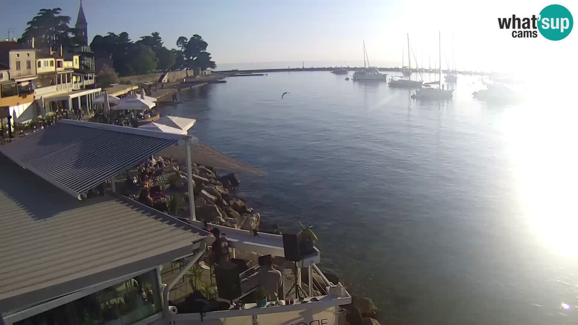 Novigrad live webcam – Porporela