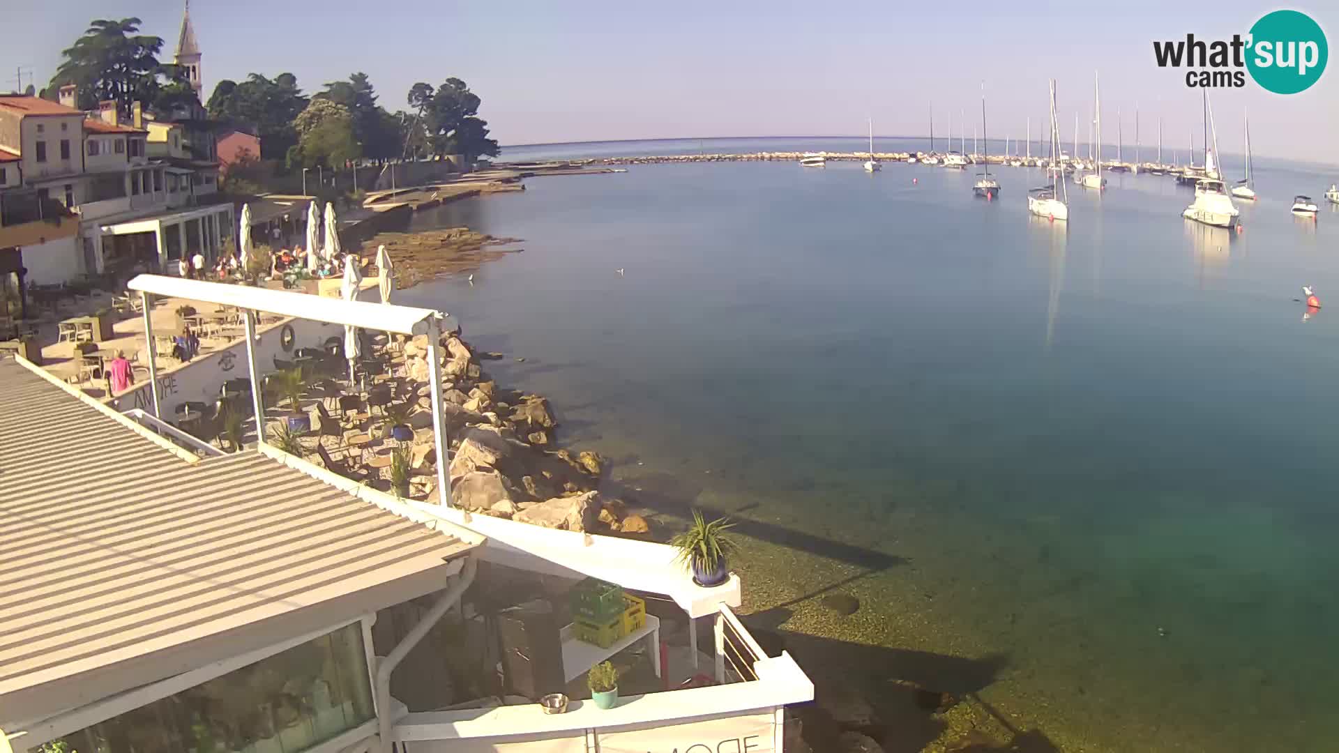 V živo Novigrad – Porporela