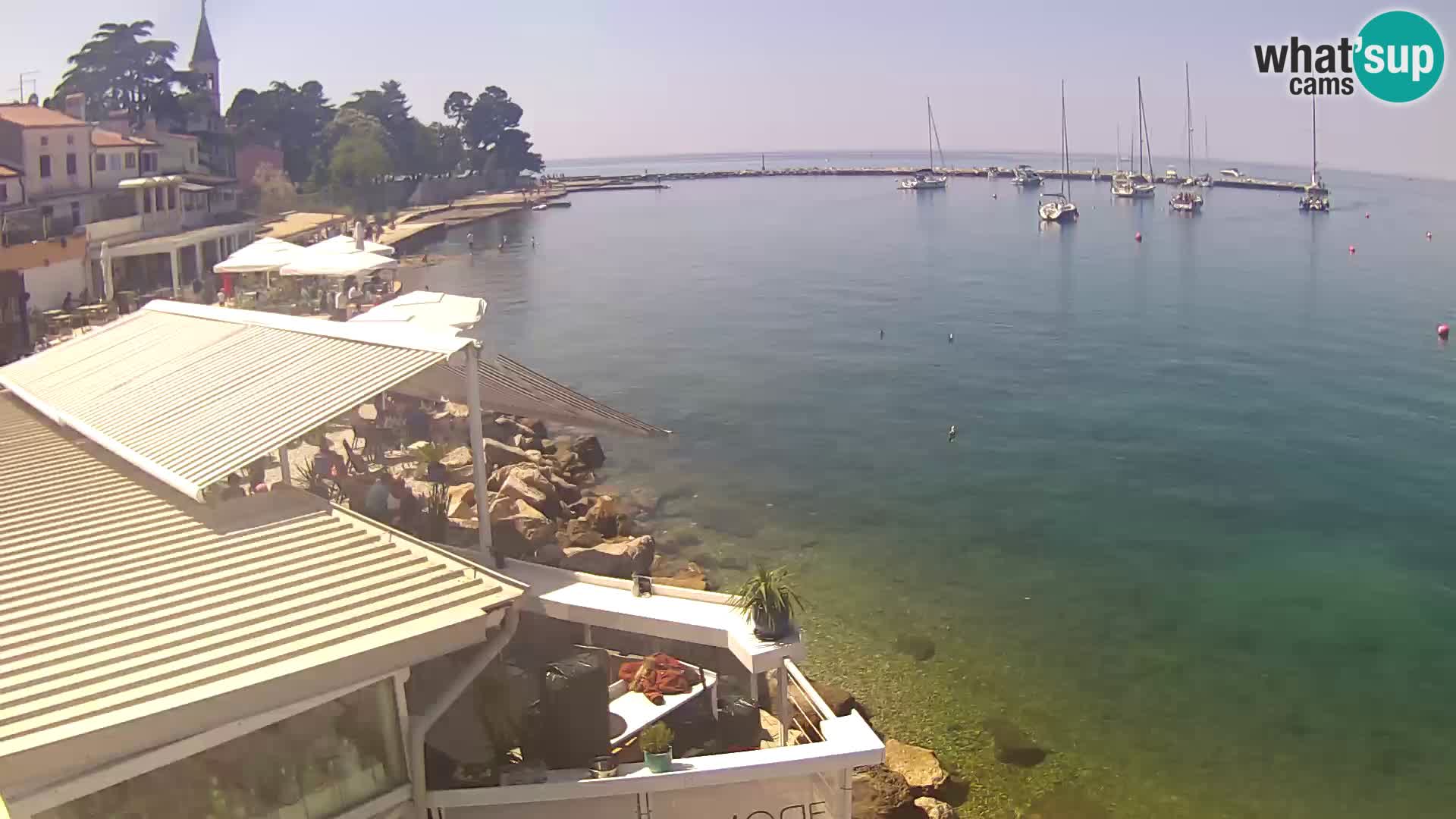V živo Novigrad – Porporela