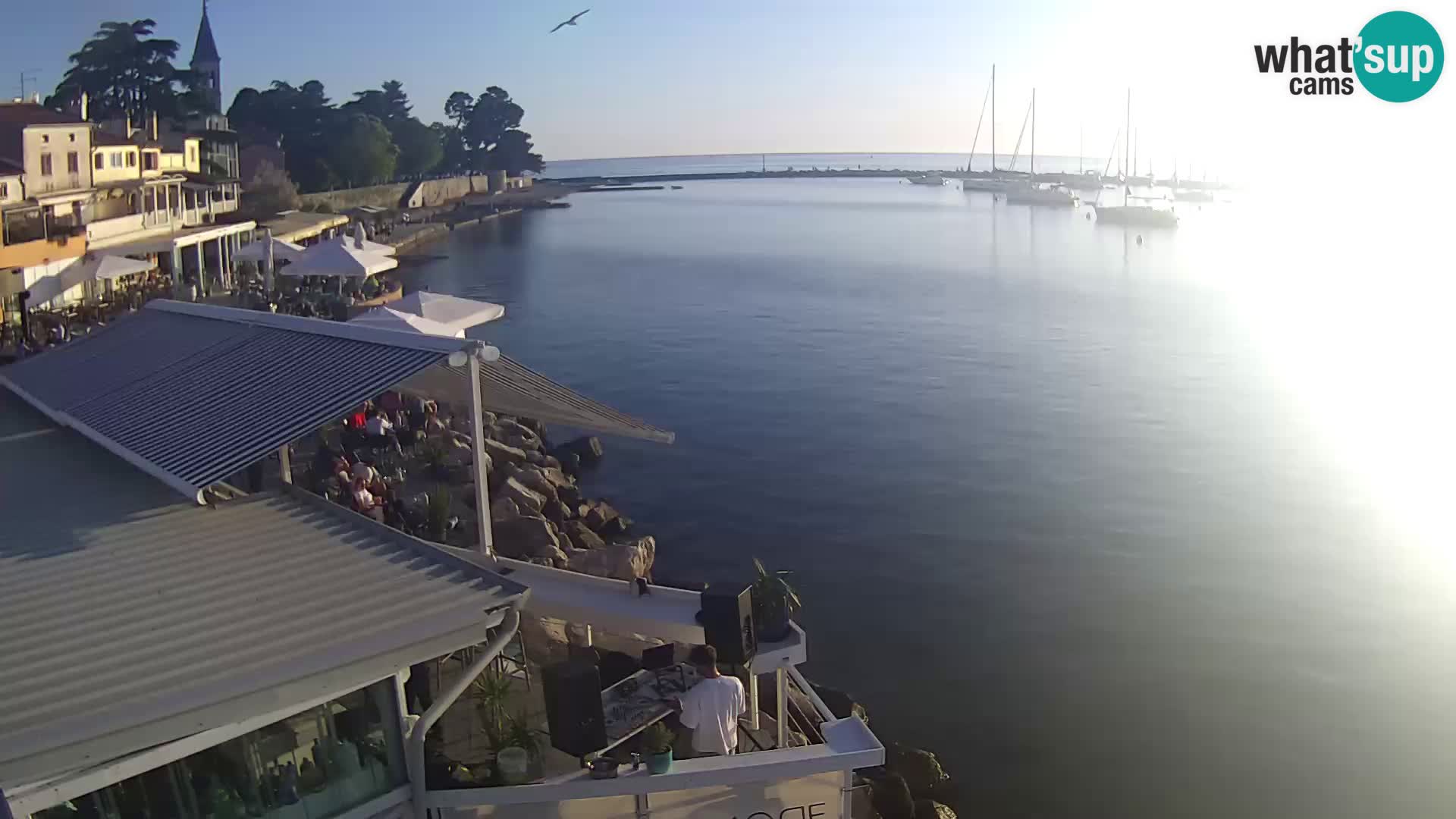 Novigrad live webcam – Porporela
