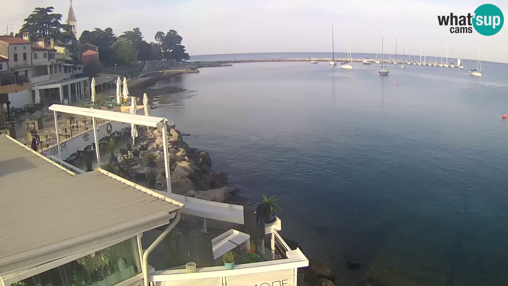 V živo Novigrad – Porporela