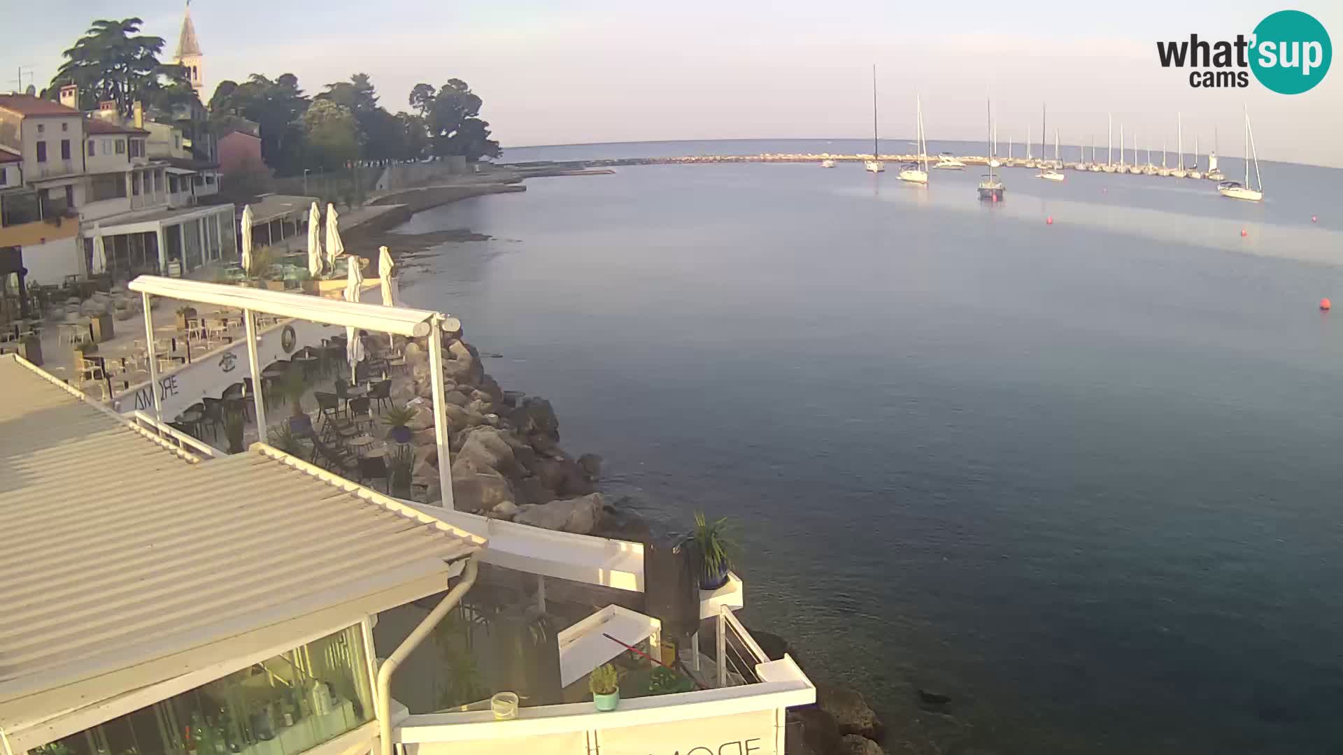 LIVE cam Novigrad – Porporela