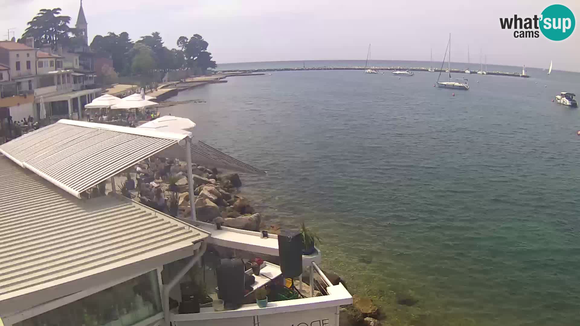 Novigrad live webcam – Porporela