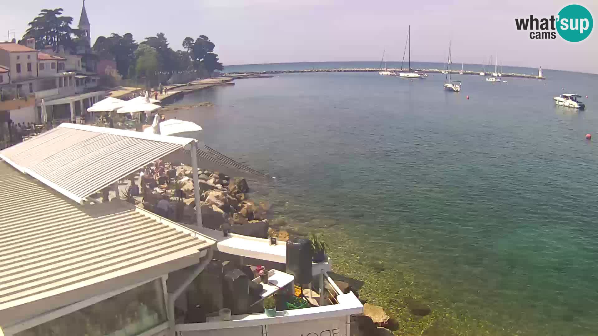 Novigrad – Porporela
