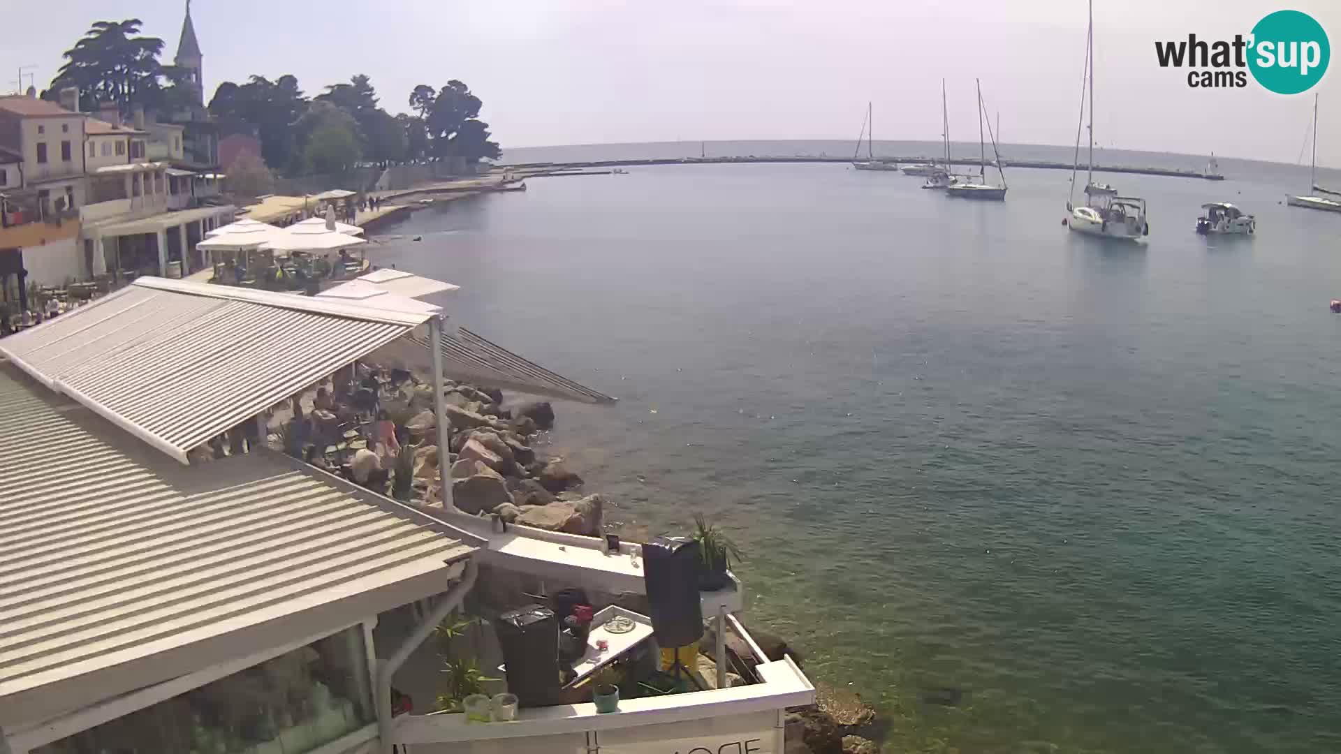 V živo Novigrad – Porporela