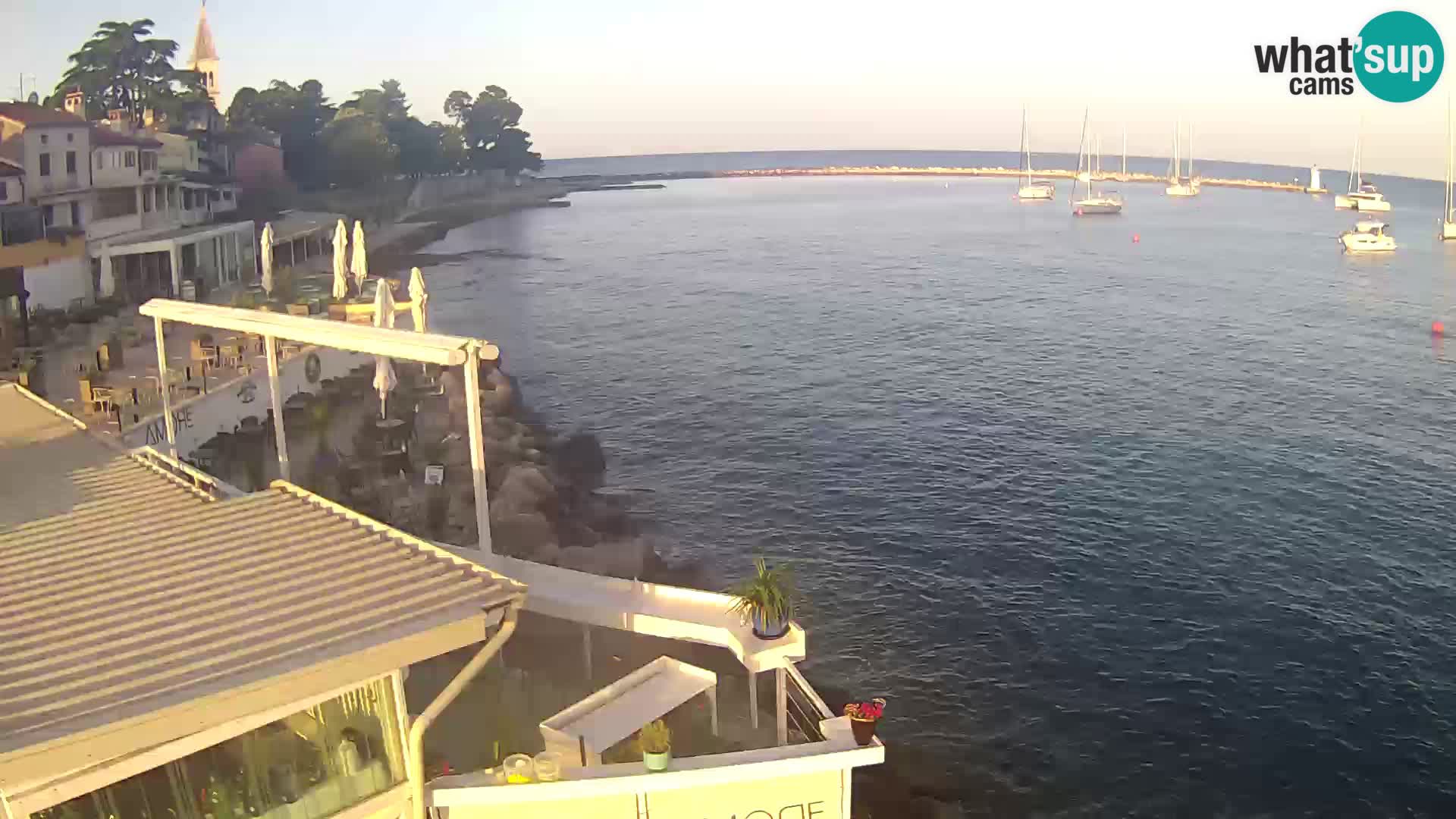 V živo Novigrad – Porporela