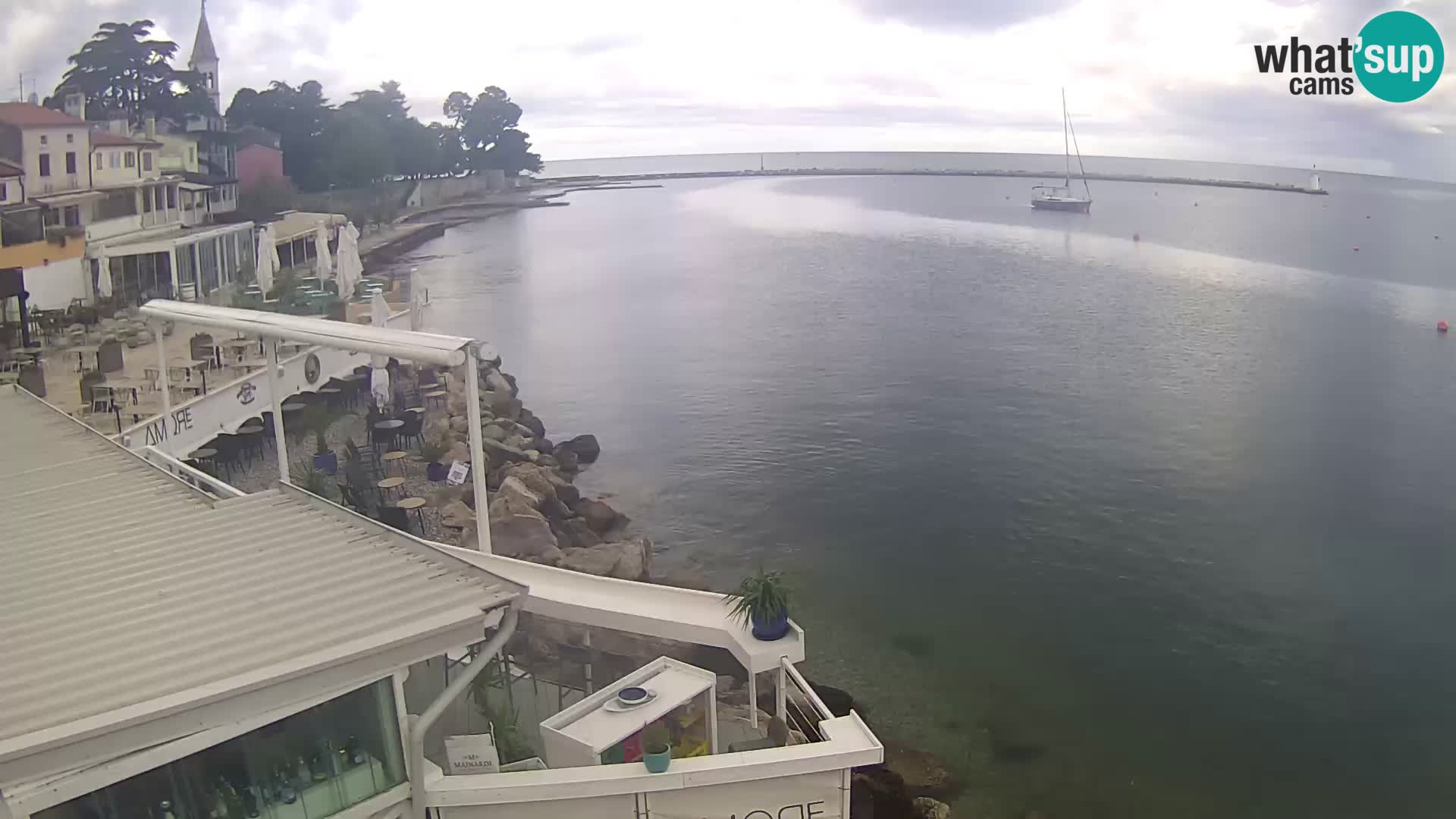 V živo Novigrad – Porporela