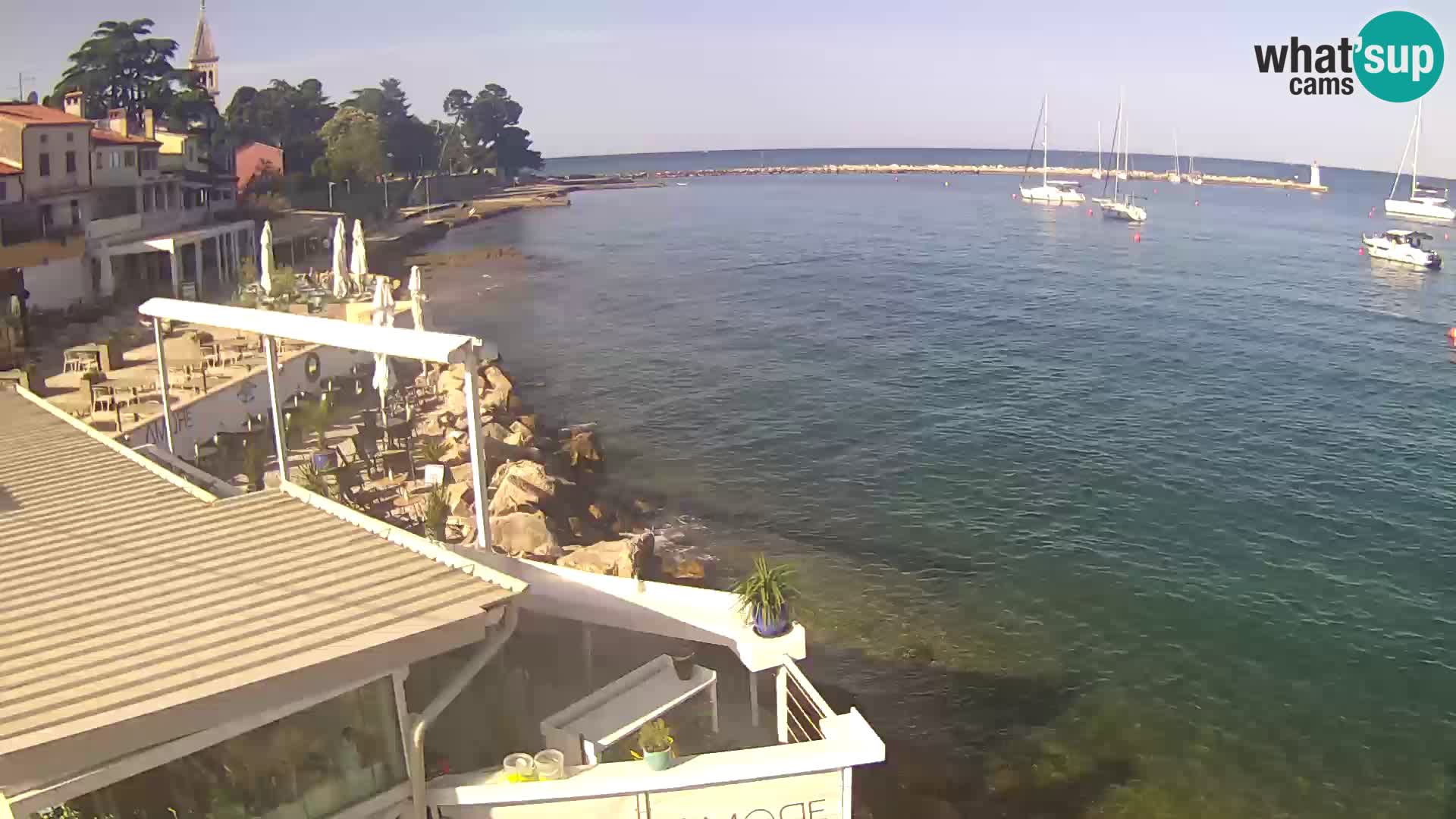 Novigrad live webcam – Porporela