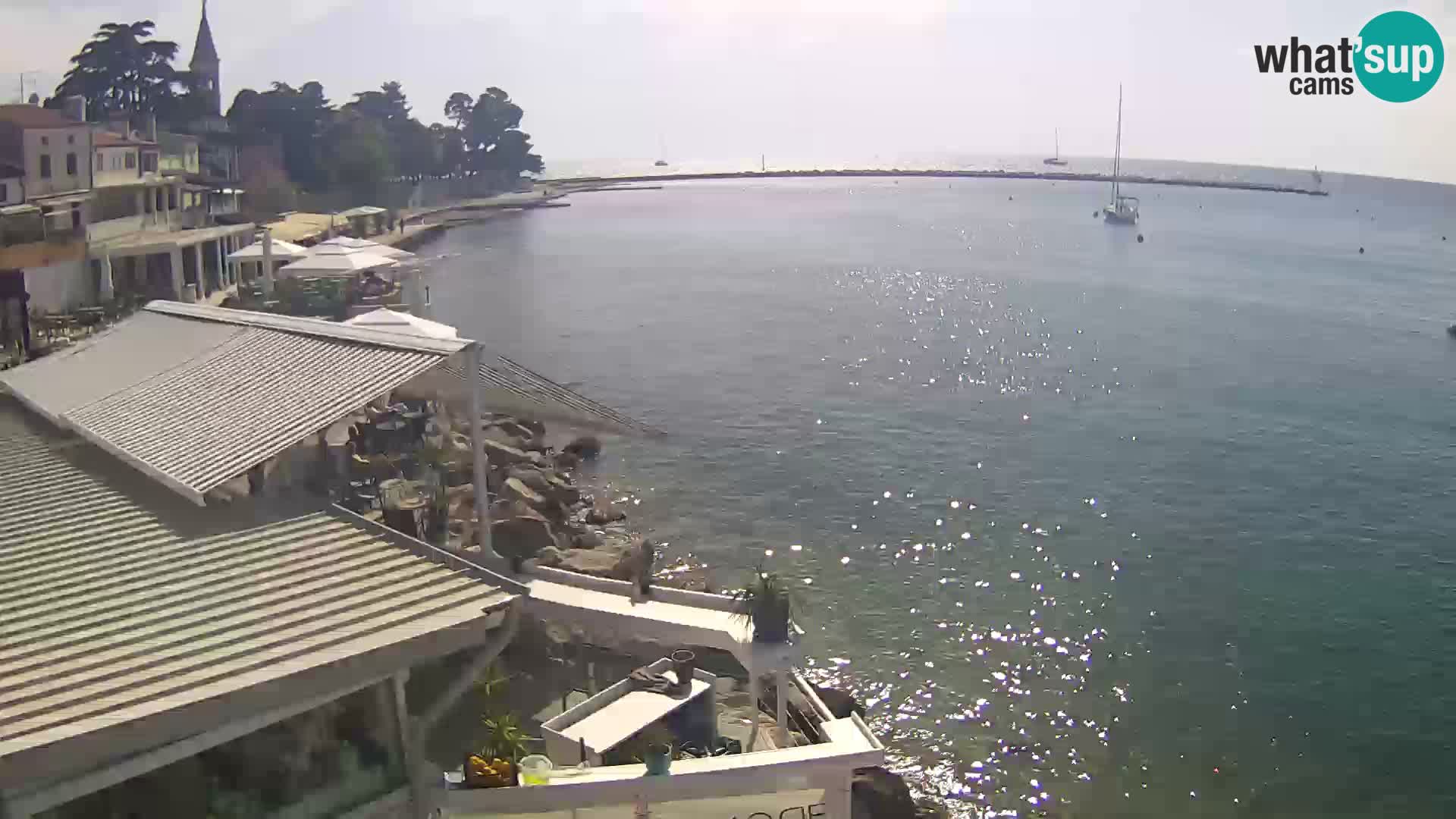LIVE cam Novigrad – Porporela