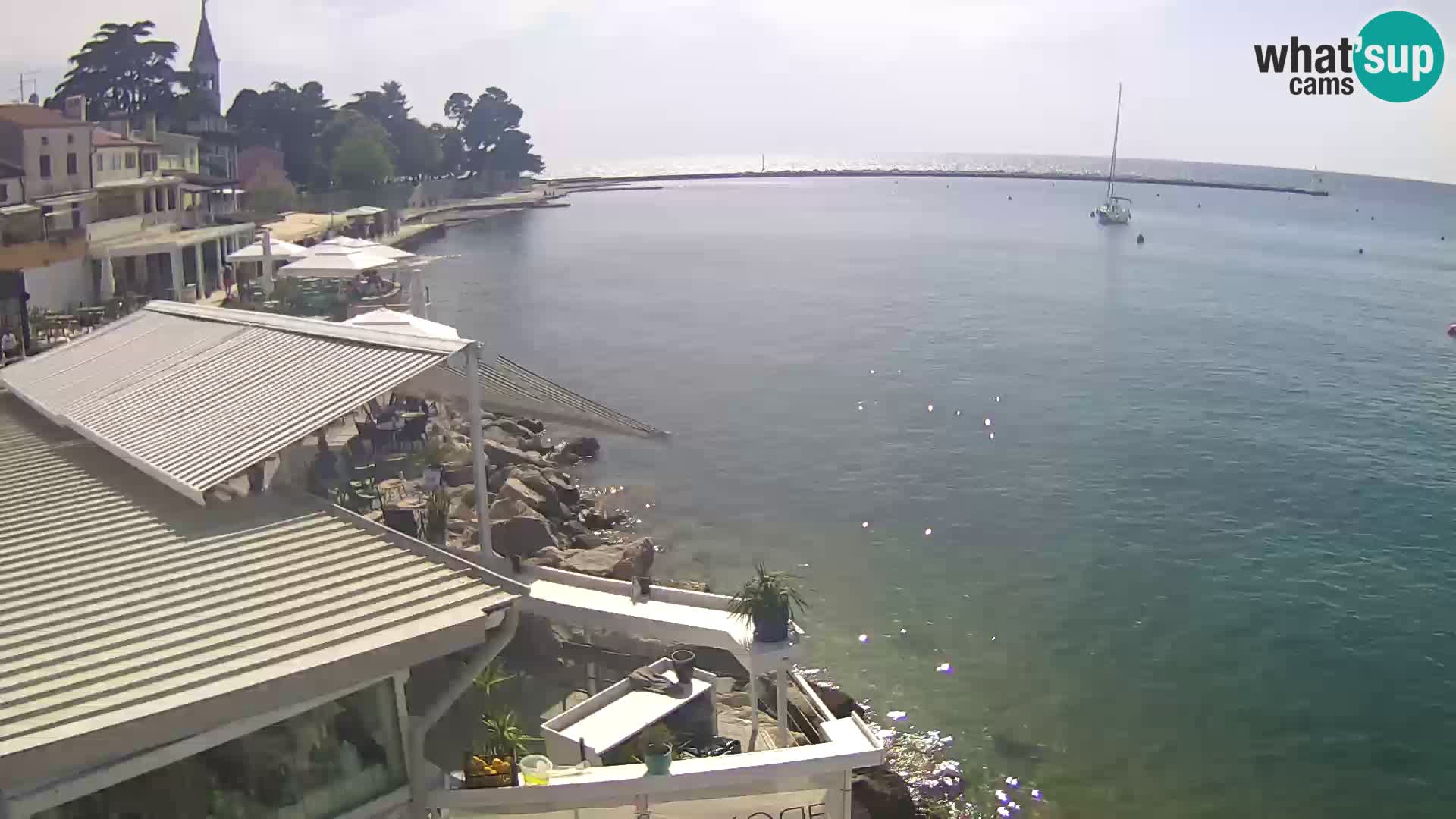 Live webcam Novigrad – Porporela – Istria – Croatia