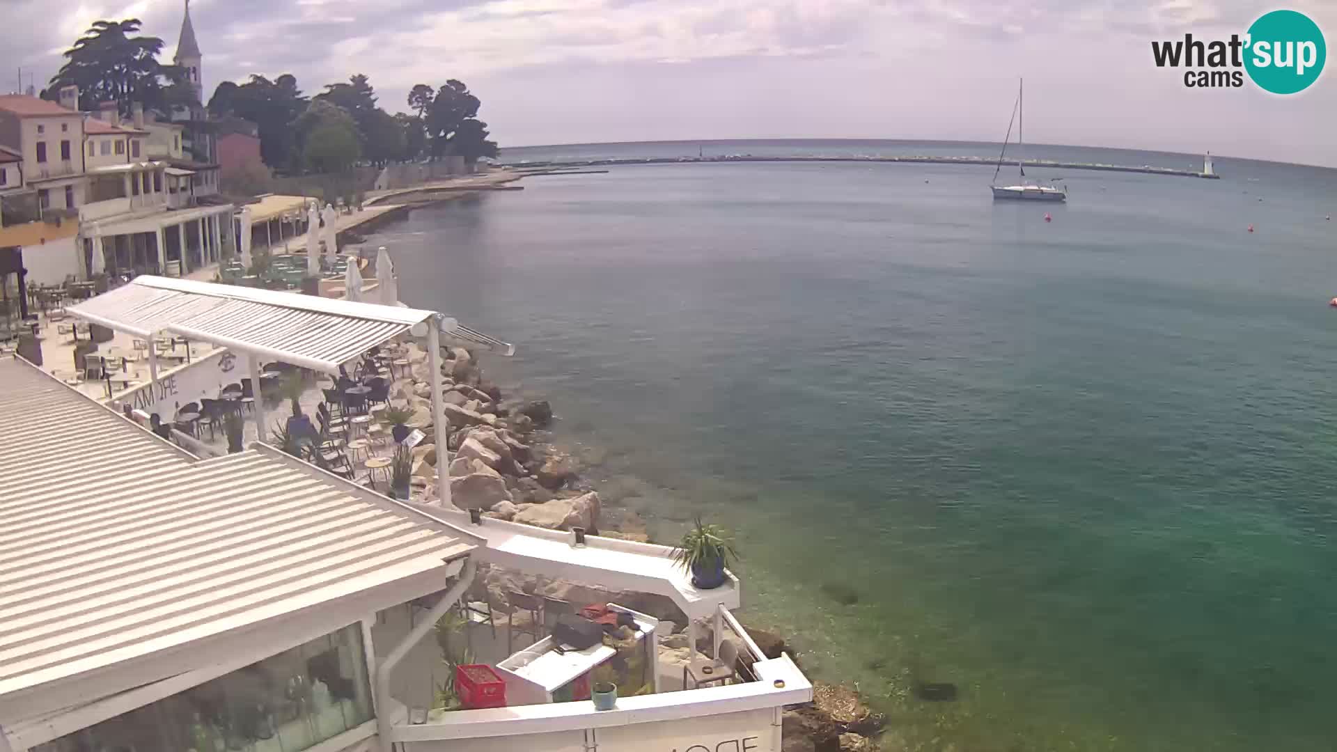V živo Novigrad – Porporela